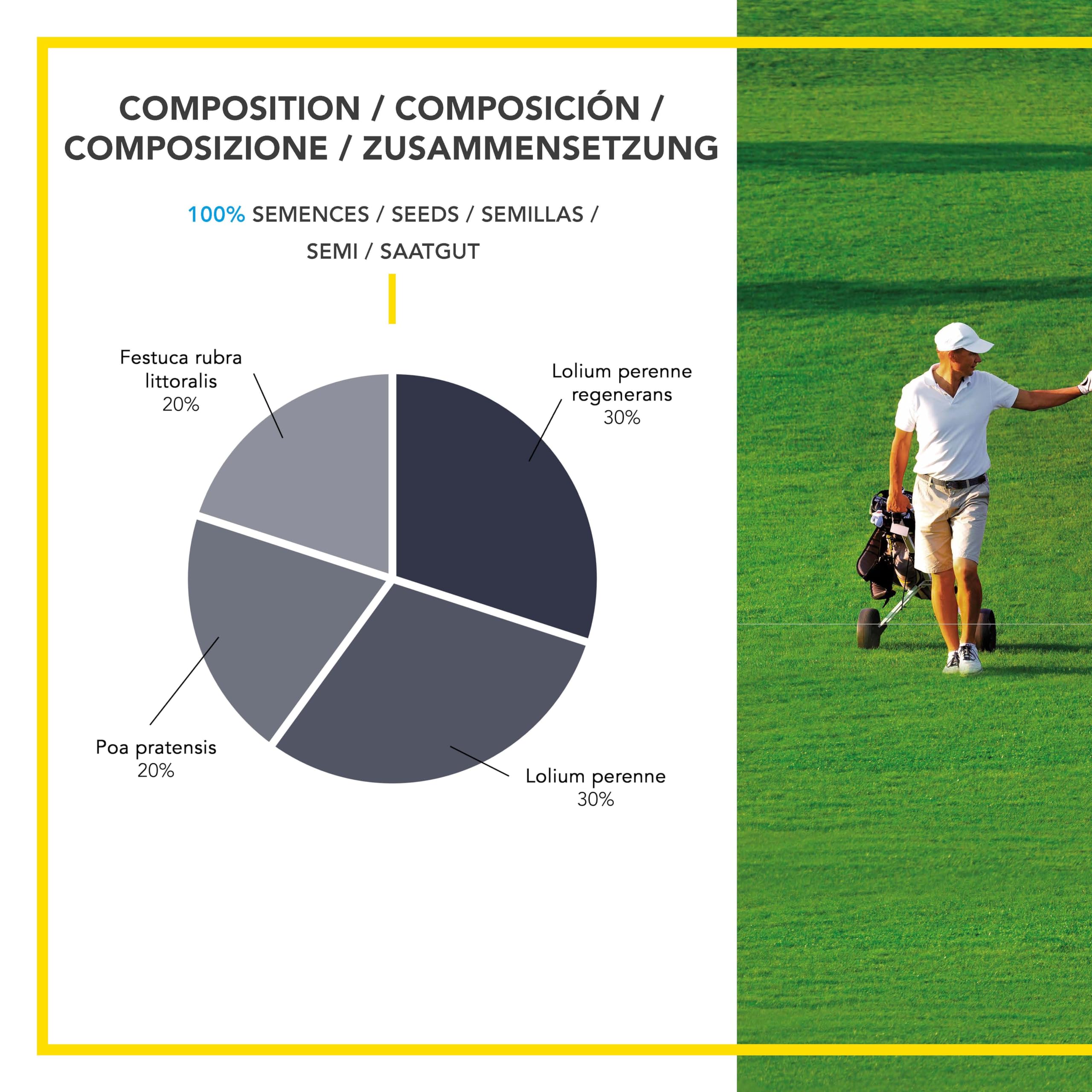 BARENBRUG - Césped Liga Pro y Golf - para Campos de Competición - Estética y Rendimiento - Fino, Denso y Resistente - Fabricado en Francia - 5Kg