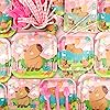 Product Photo 5