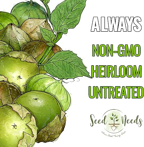 Miniatura 5 de Seed Needs Semillas de tomatillo para plantar tomatillos Grande Rio Verde, reliquia sin OMG y sin tratar, cultiva un huerto al aire libre cultivado