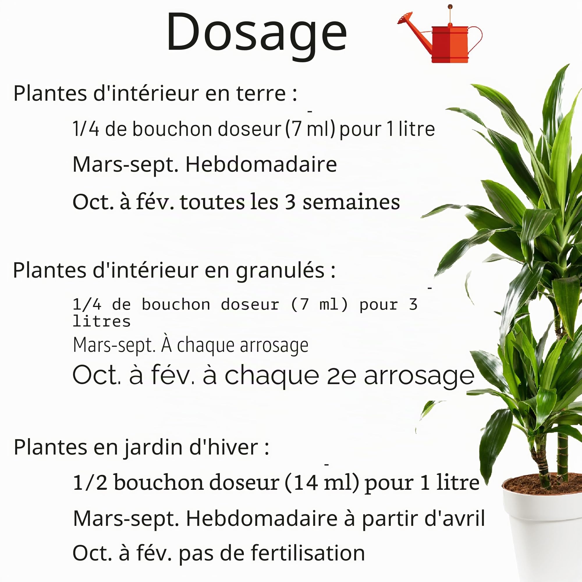 Substral Engrais liquide pour plantes vertes et palmiers, 500 ml, réduit les carences en nutriments, favorise la croissance et le vert feuillu