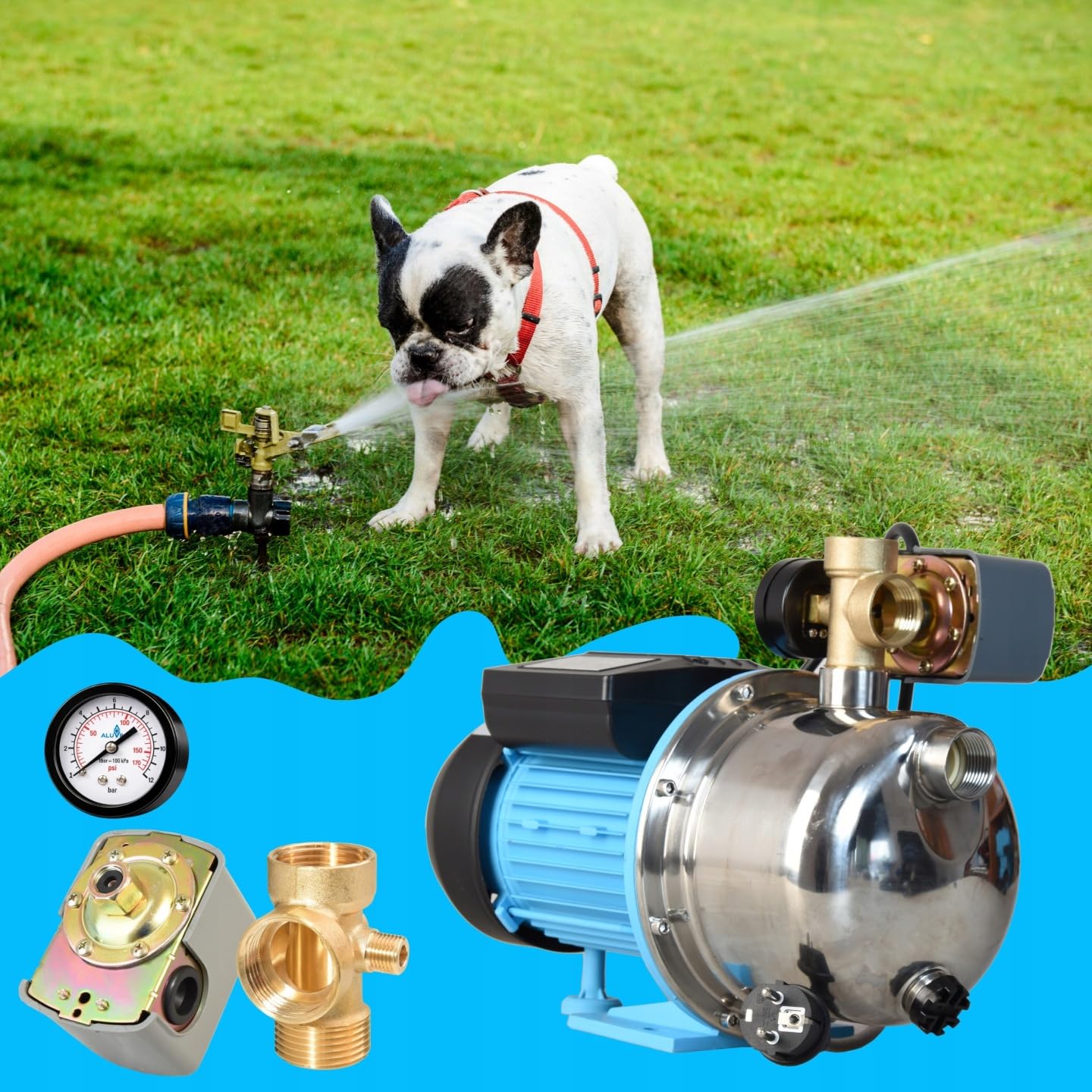 Pompe à Eau JX 1100 - Pompe de Surface (1100 W, 3600 l/h hauteur de refoulement 50 m) avec Manomètre Pressostat Raccord 5 Voies - Acier Inoxydable INOX - Pompe d’arrosage de Jardin - pour le Réservoir