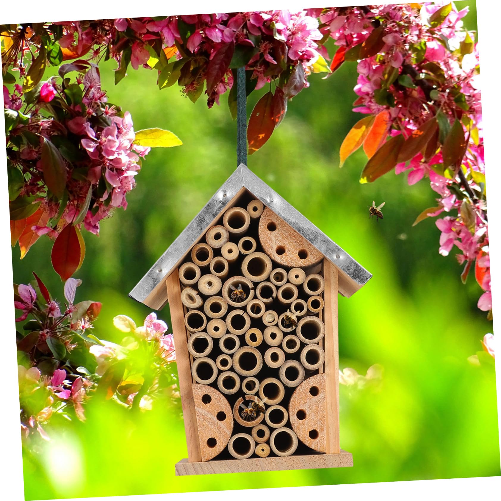 Toddmomy Holz-schmetterlingshaus Bienenstock aus Holz Bienenhaus Insektenhotel zum Aufhängen Bienenunterstand für Garten Marienkäferhaus Schmetterlingshabitat