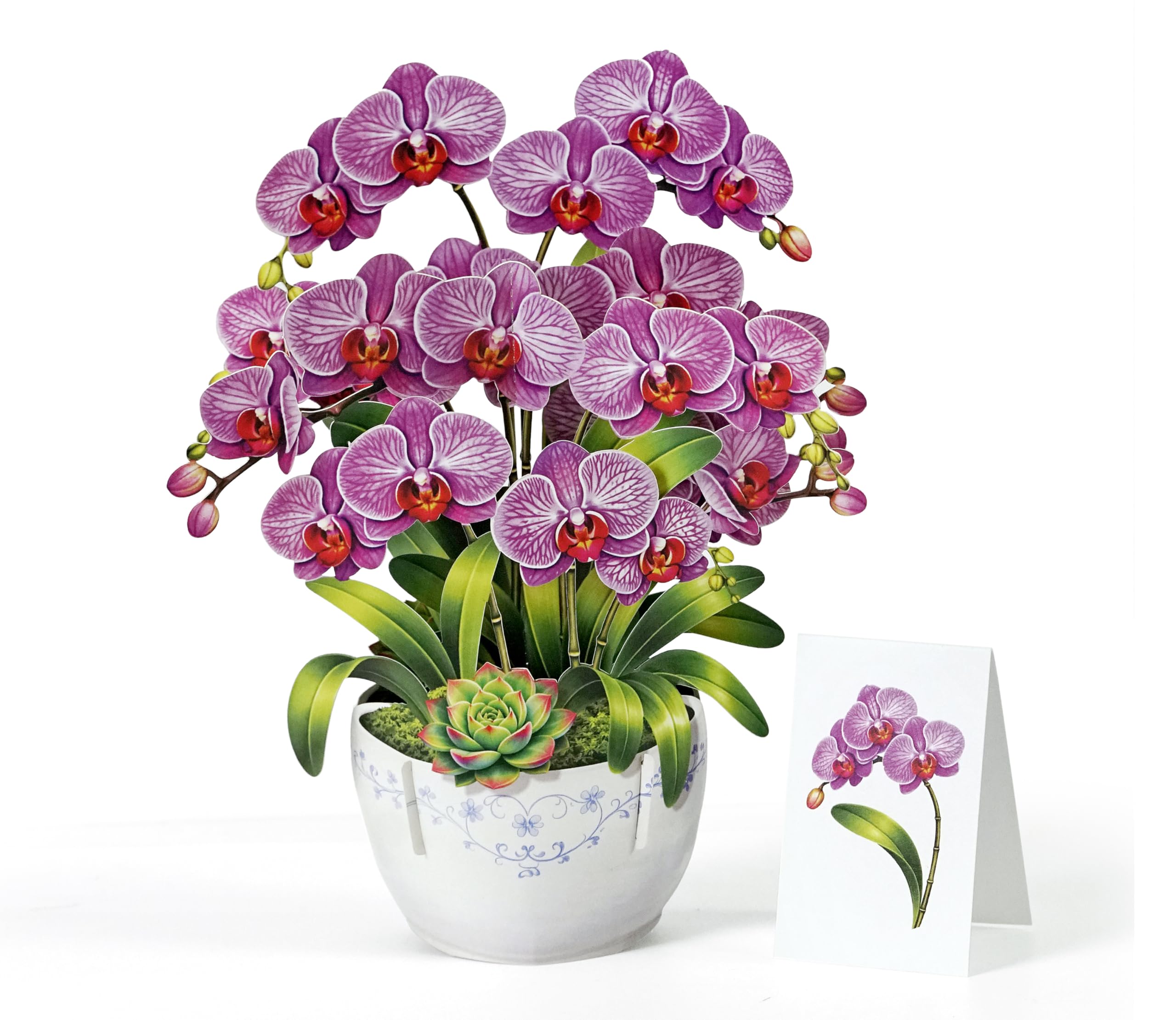 CUTPOPUP Orchid Bouquet Birthday Cards for Women, Happy Mothers Day Cards Pop Up, 3D Gifts Card for Wife Her Girls Sister Mum Anniversary (Orchid Bouquet) US8-FL199UK โ image 1