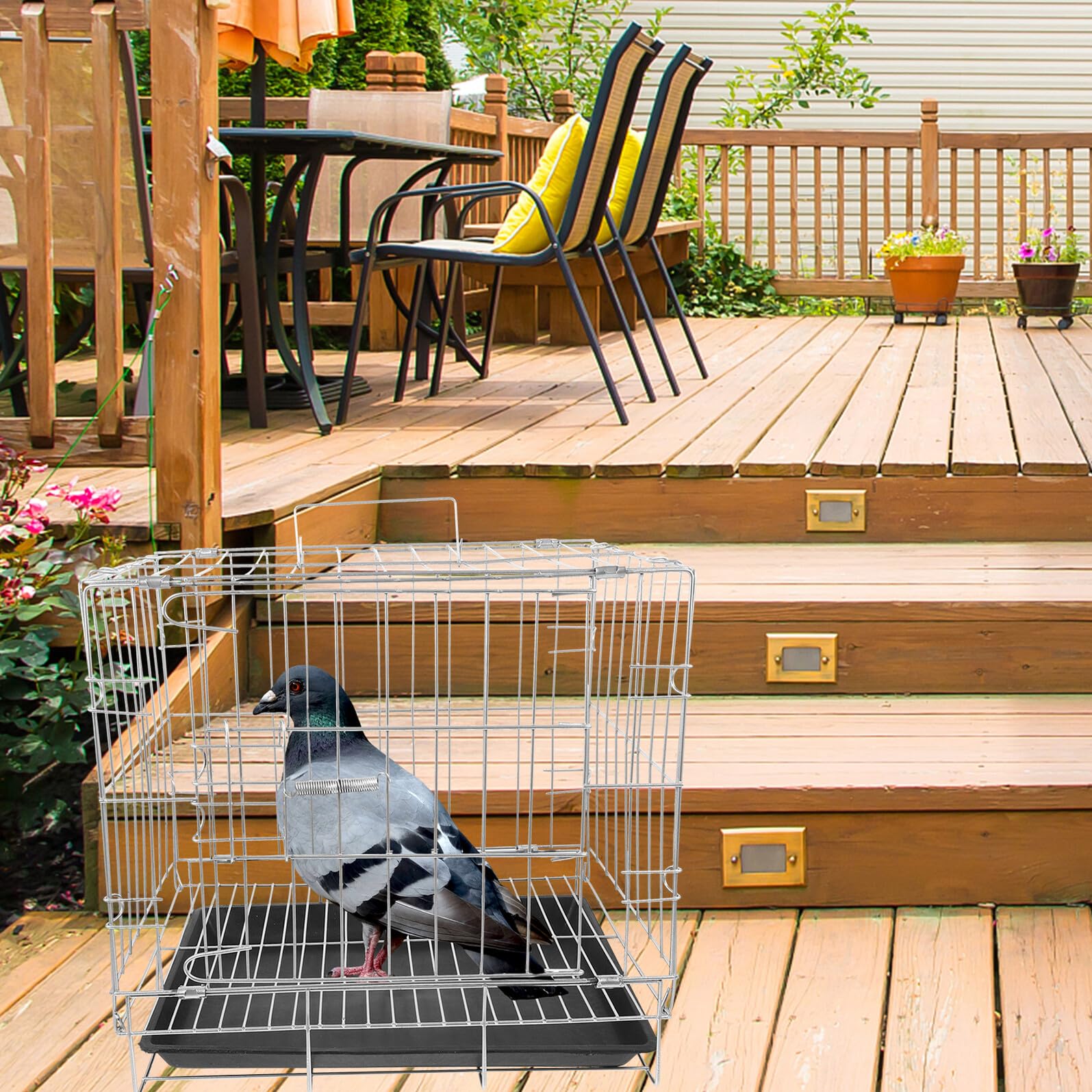 Jaula de Cría para Palomas de Gran Capacidad 35x25x30 Cm, Acero Inoxidable Bandeja Extraíble, Jaula Espaciosa para Pájaros Domésticos y Suministros para Aves