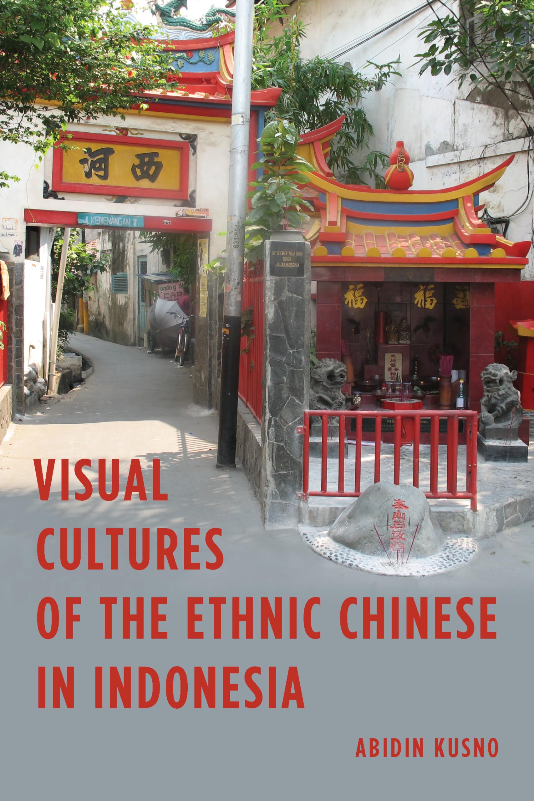 Visual Cultures of the Ethnic Chinese in Indonesia livre anglais histoire art culture