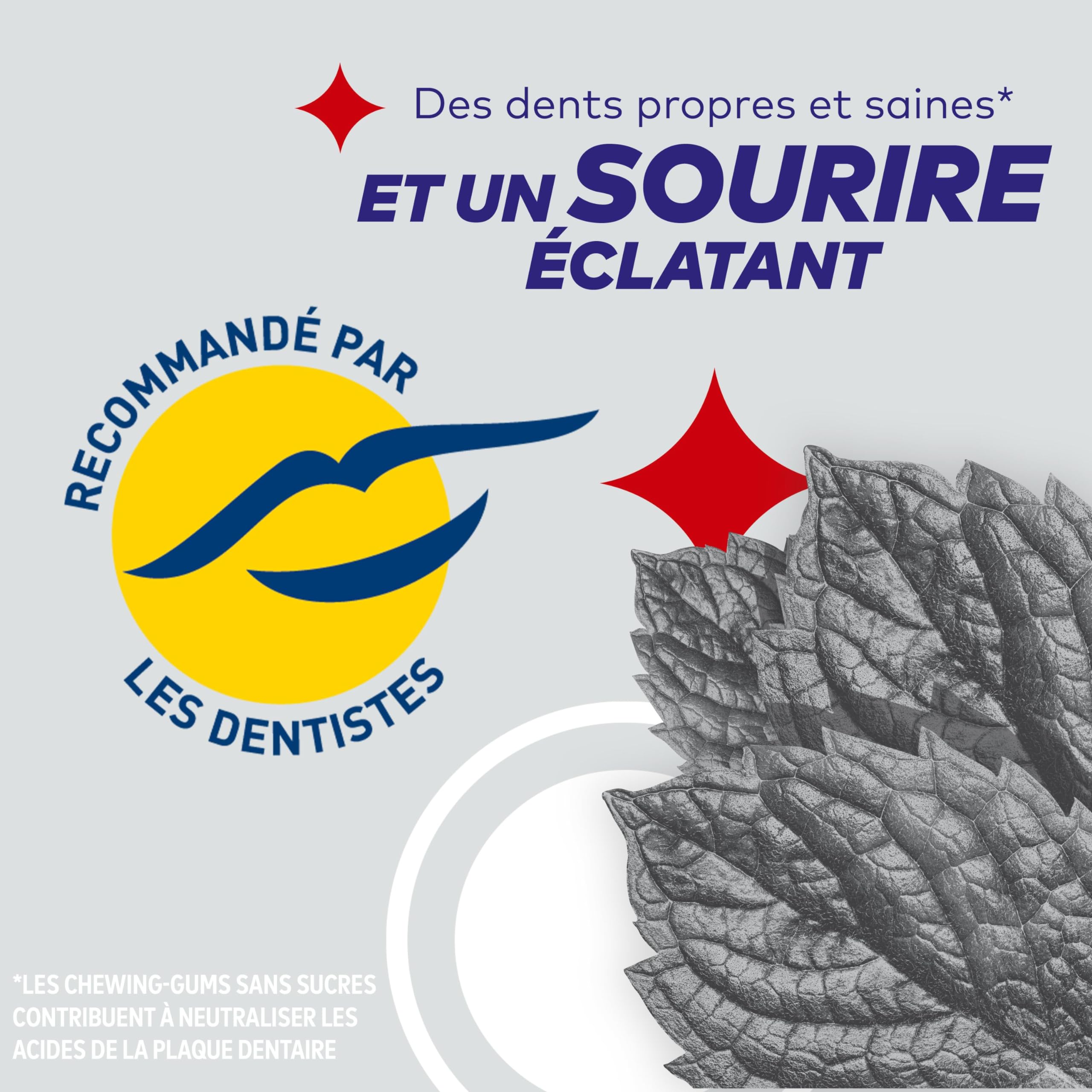 FREEDENT WHITE Chewing-Gum Menthe Forte Sans Sucres 60 dragées 84g