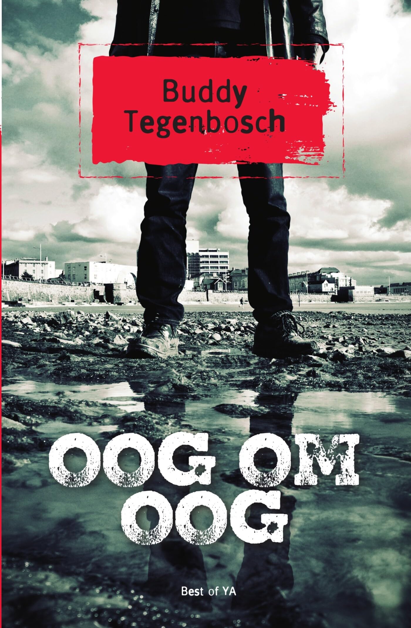 Oog om oog (Best of YA)