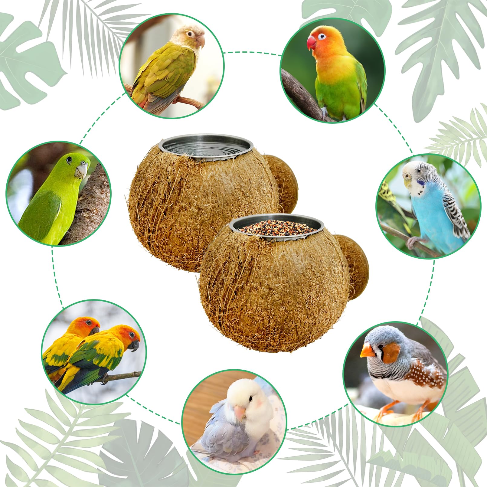 Coconut Bird Bowls for Cage 2-in-1 Coconut Shell Birds Feeder Set of 2 Hanging Parrot Cage Feeders Natural Parakeet Food and Water Dishes for Lovebirds Finches Budgies Cockatiels - image 7