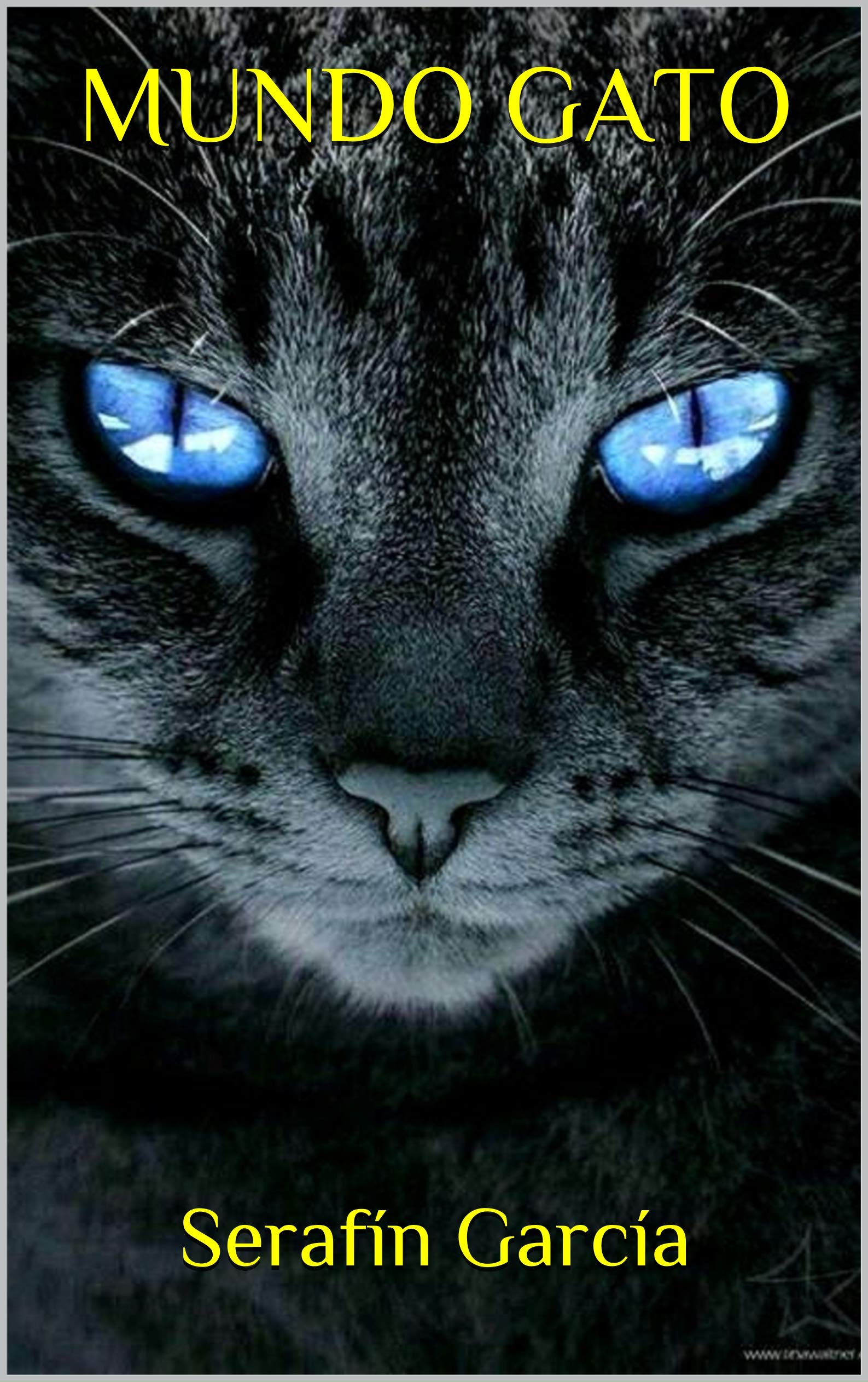MUNDO GATO (Spanish Edition)