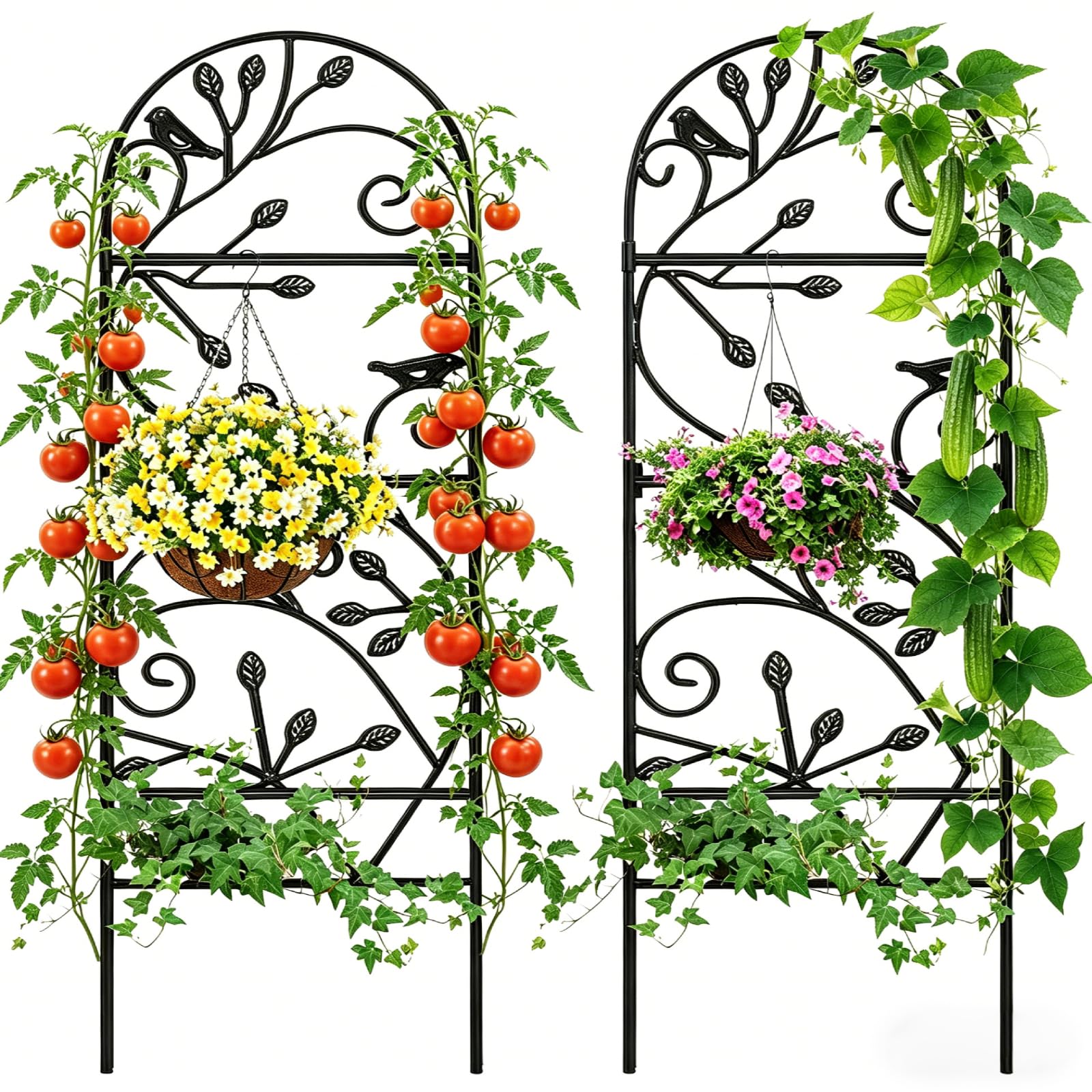 Amagabeli Garden Home