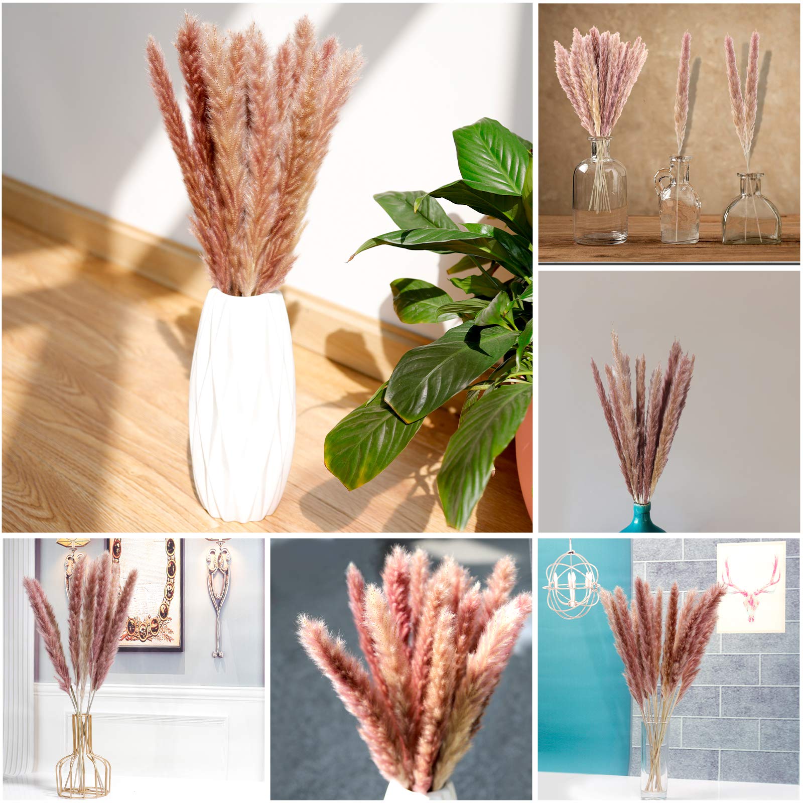 Bouquet di erba di pampa, bouquet di fiori secchi, riempitivo per vasi, fiori secchi, baby shower, decorazioni floreali naturali, composizione floreale, piccolo centrotavola - Italia