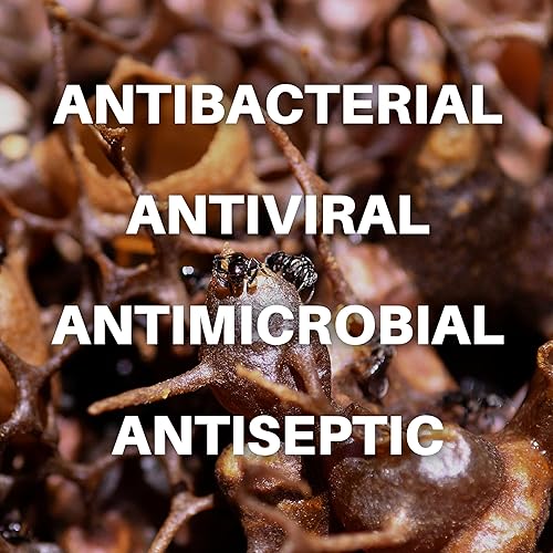 Miniatura 5 de Honey Plus Co  Gotas de Miel Melipona Gotas De Miel Chumelito, Miel Virgen, Miel Angel) 5 ML