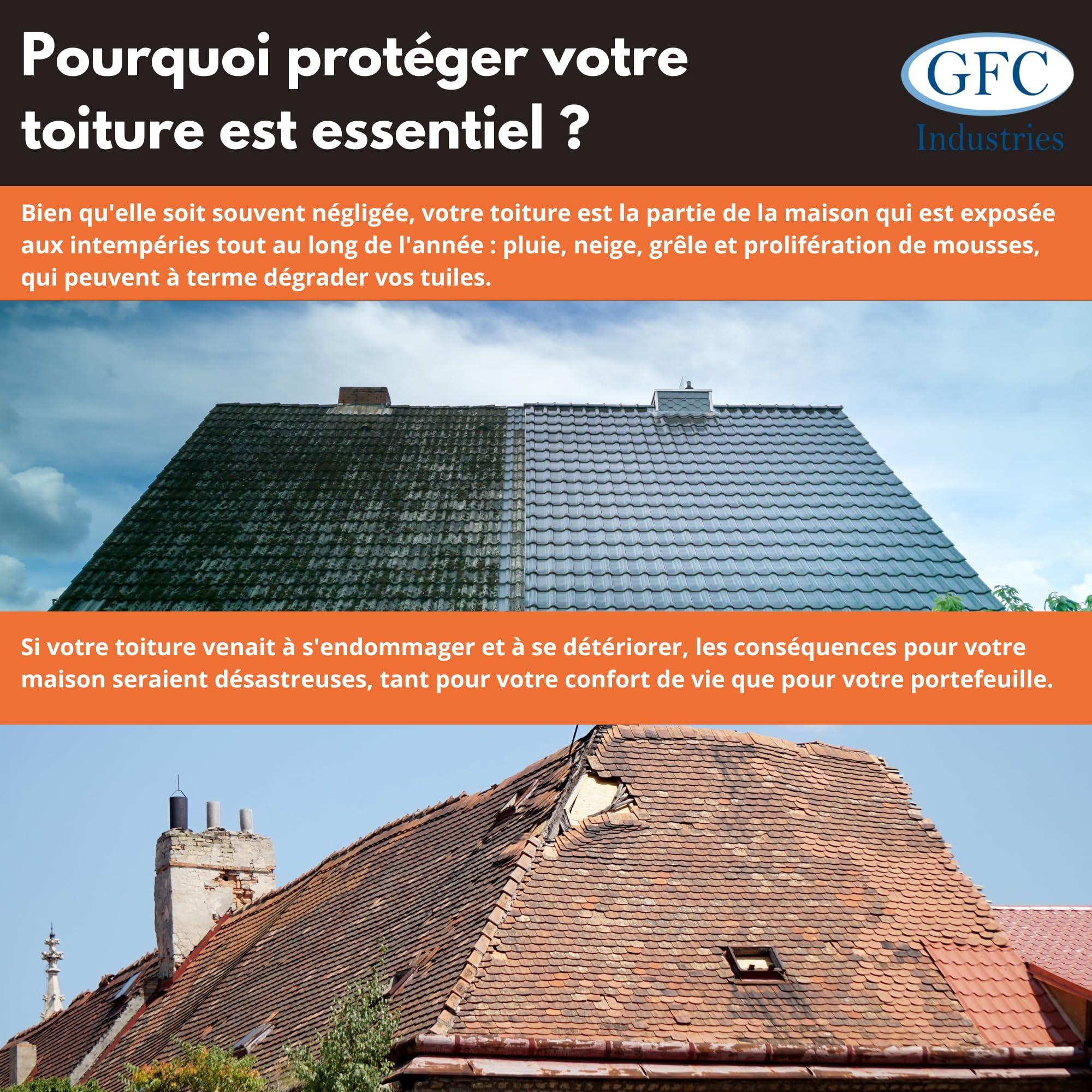 D-MOUSS PRO Anti Mousse Concentré Bidon 5L jusqu'à 500 m², Anti-Verdissure et Anti-Dépots Verts, Usage Multi Support (Toiture, Terasse, Façade, Pavé)