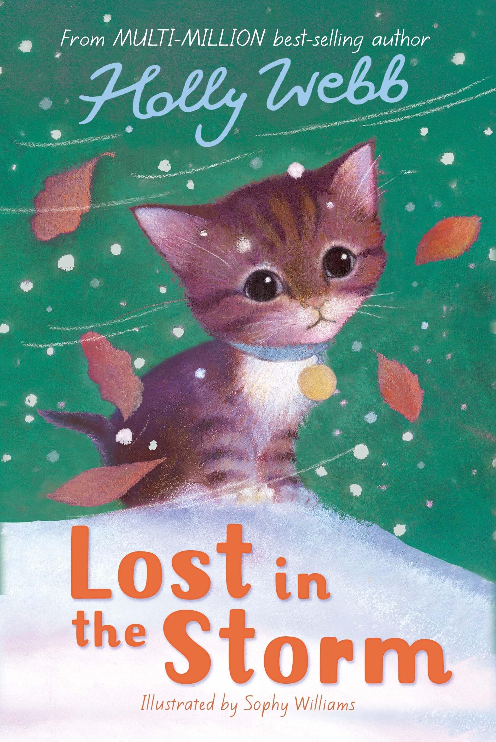 Lost in the Storm: 3 (Holly Webb Animal Stories, 3)