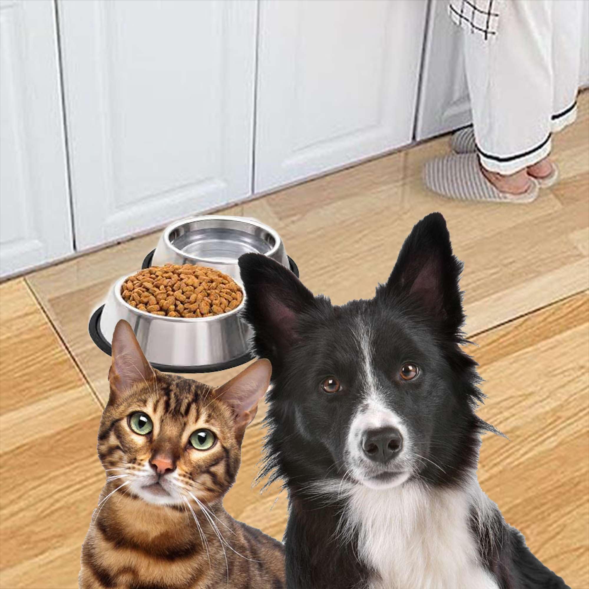 Artwelt Futtermatte Folie Transparent Bodenschutzmatte Wiederaufbereitet Napfunterlage in Verschiedenen Größen Erhältlich für Katze oder Hund (40cm X 60cm)