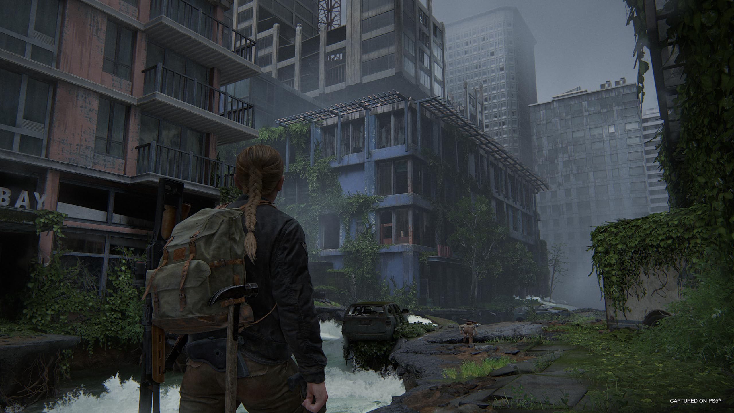 The Last of US Part II Remastered - 5
