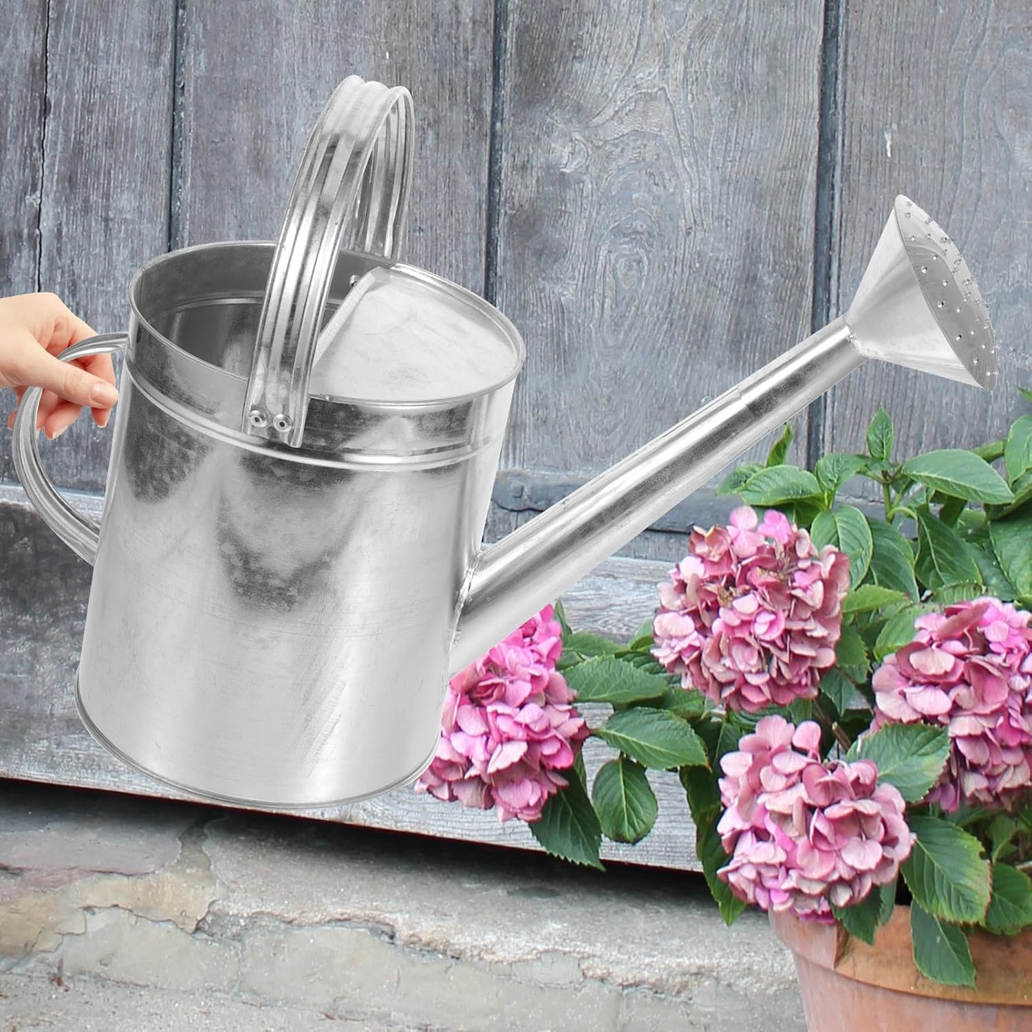 Thickened Iron Watering Can with Long Spout and Replacement Nozzle 5l Garden Watering Bucket for Flowers and Indoor Outdoor Plants