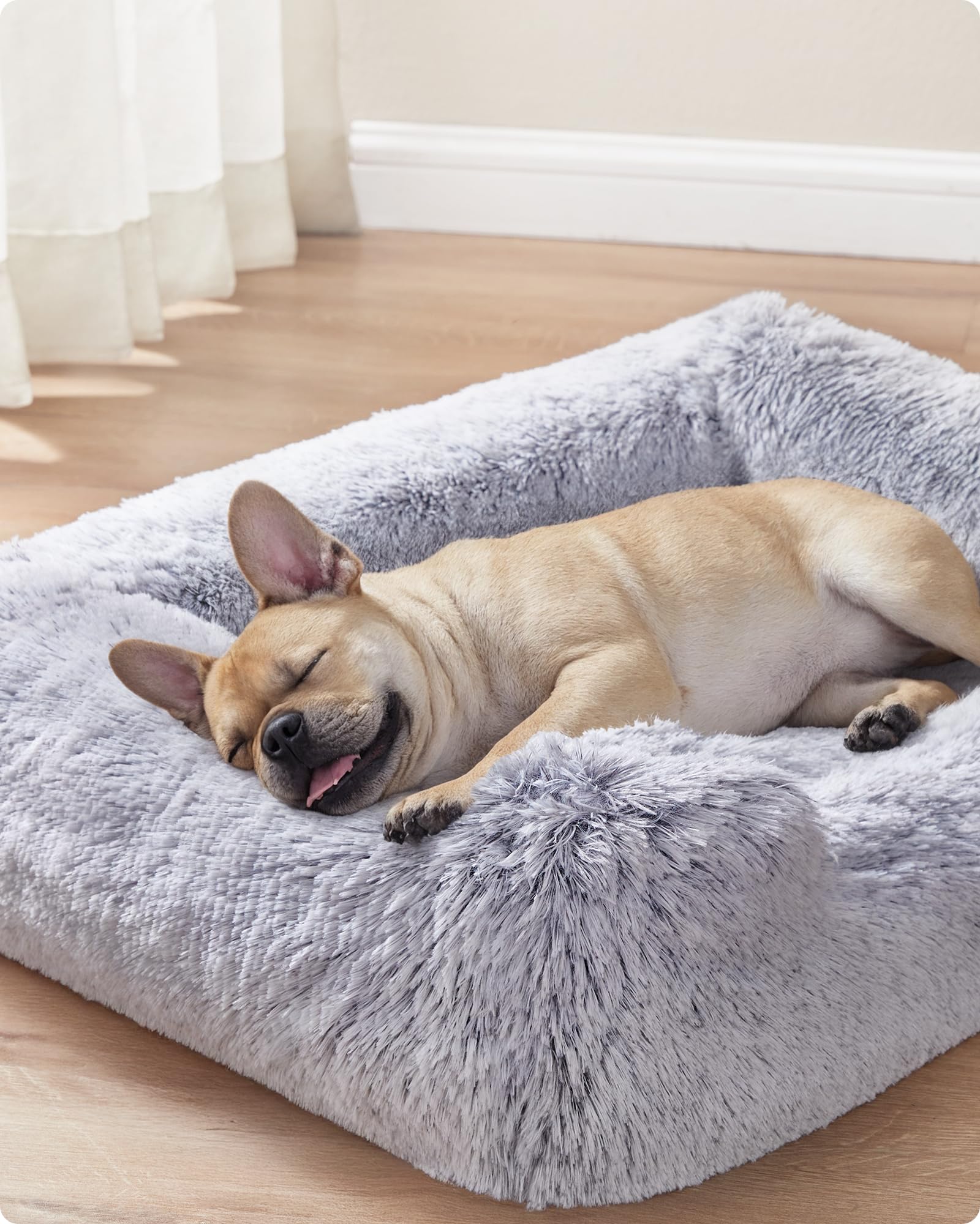 Feandrea Cuccia per Cani, Divano per Cani, 71 x 55 x 18 cm, Cuscino per Animali, Imbottitura Morbida Bordi Rialzati, Copertura Sfoderabile e Lavabile in Lavatrice, Antiscivolo, Grigio Ombré PGW271G01