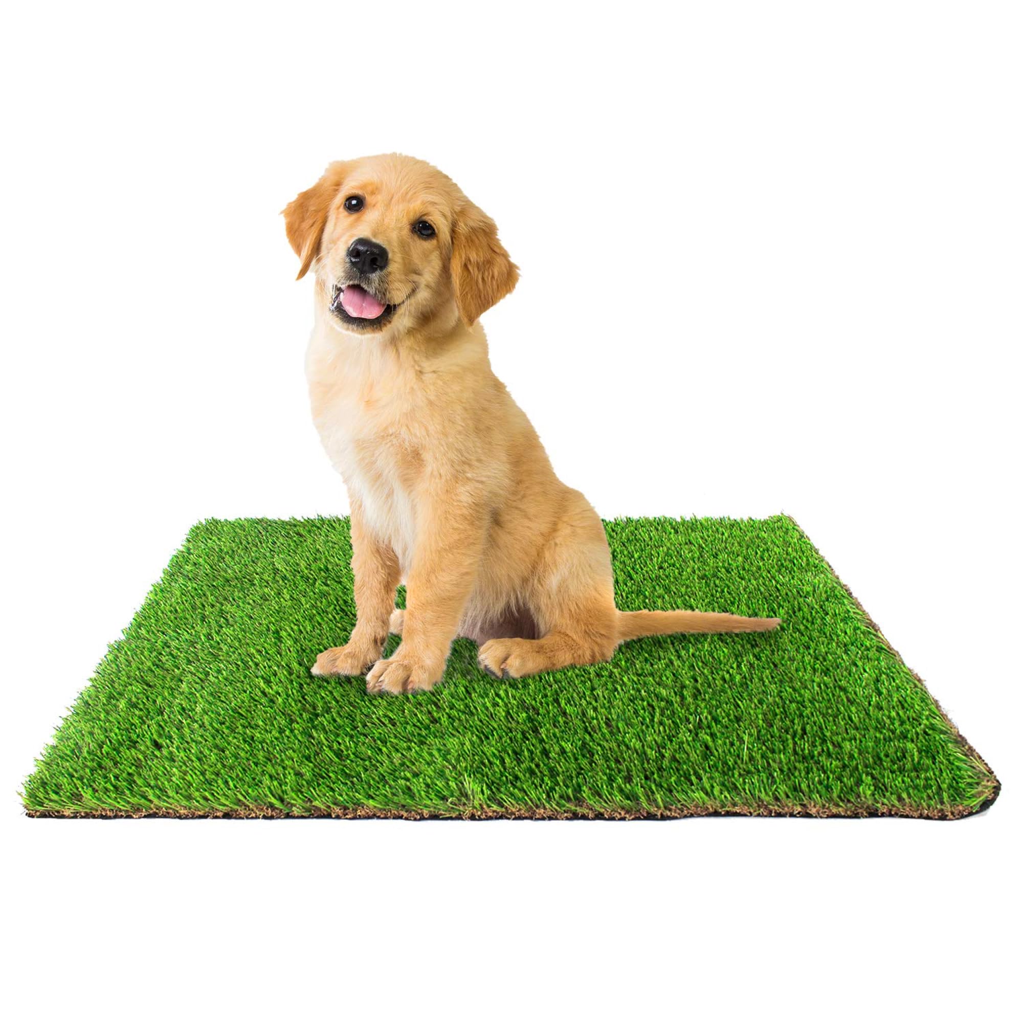 Downtown Pet Supply Replacement Dog Potty Grass, 16 x 20 Washable
