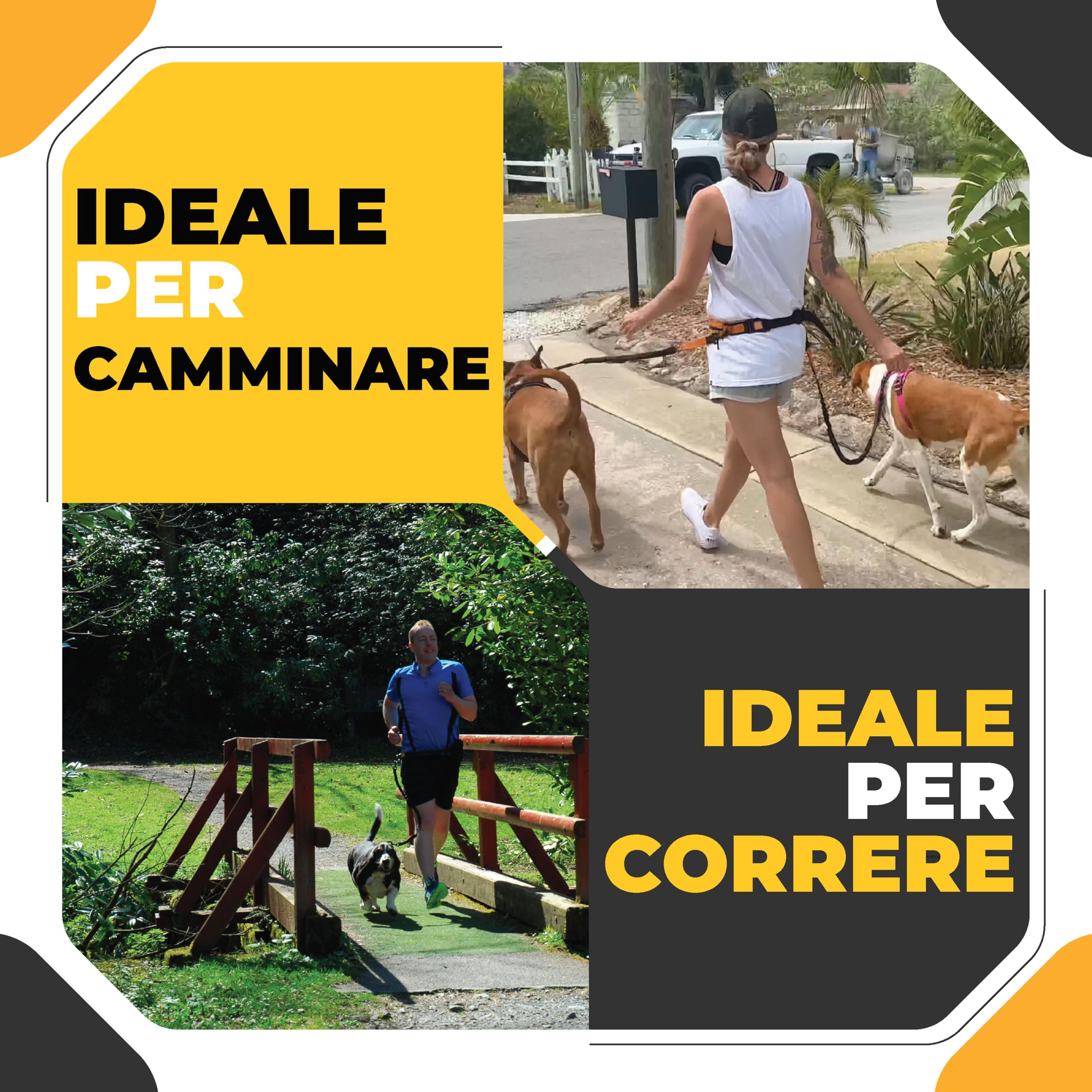 Guinzaglio Mani Libere per Cani - Da Corsa, Cintura Dog Trekking/Jogging, Canicross Fino a 60 Kg
