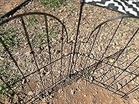 Review Image by C.C. AZ