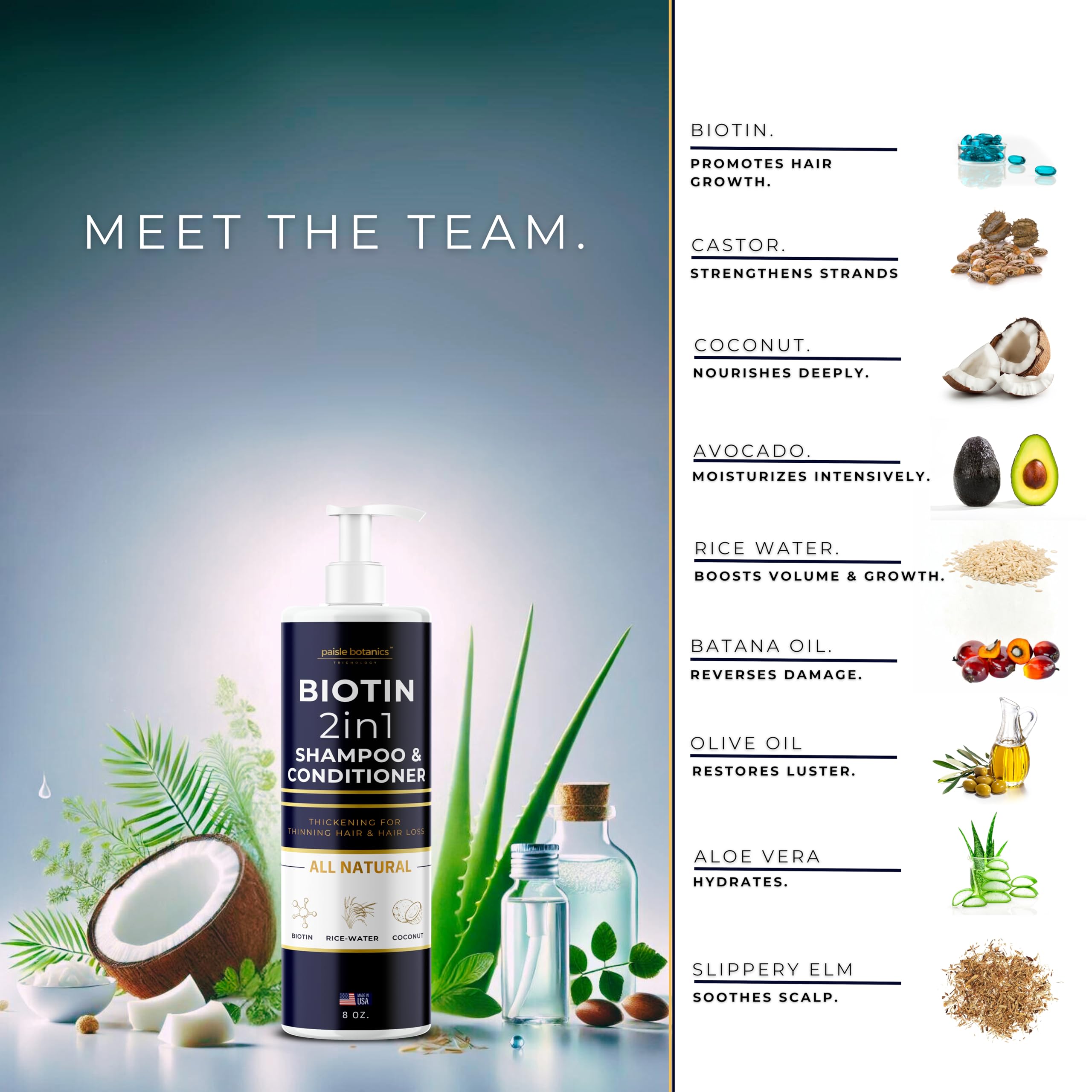 Paisle Botanics Biotina Shampooing et après-shampoing 2 en 1 pour hommes et femmes, biotine, shampooing et après-shampoing pour cheveux clairsemés - Shampooing et après-shampoing pour femmes et hommes