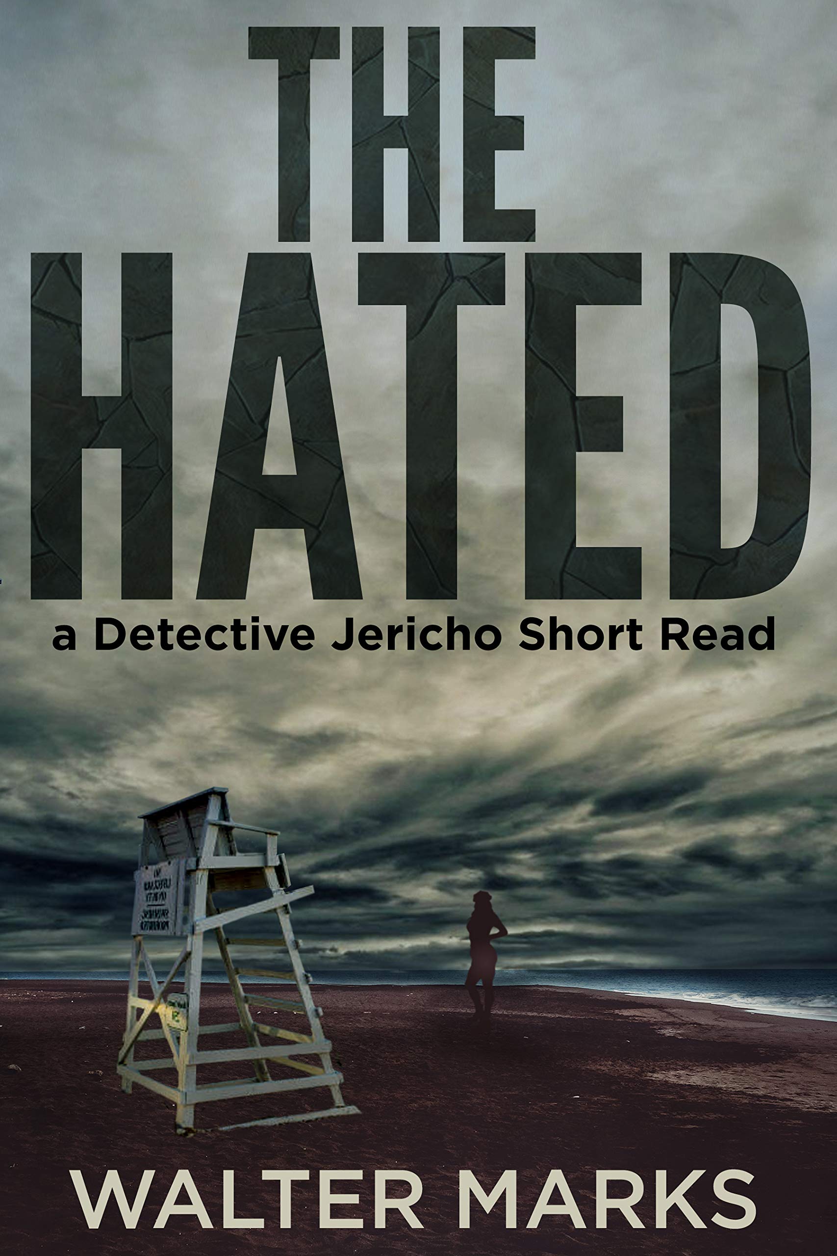 The Hated (The Detective Jericho series Book 3)