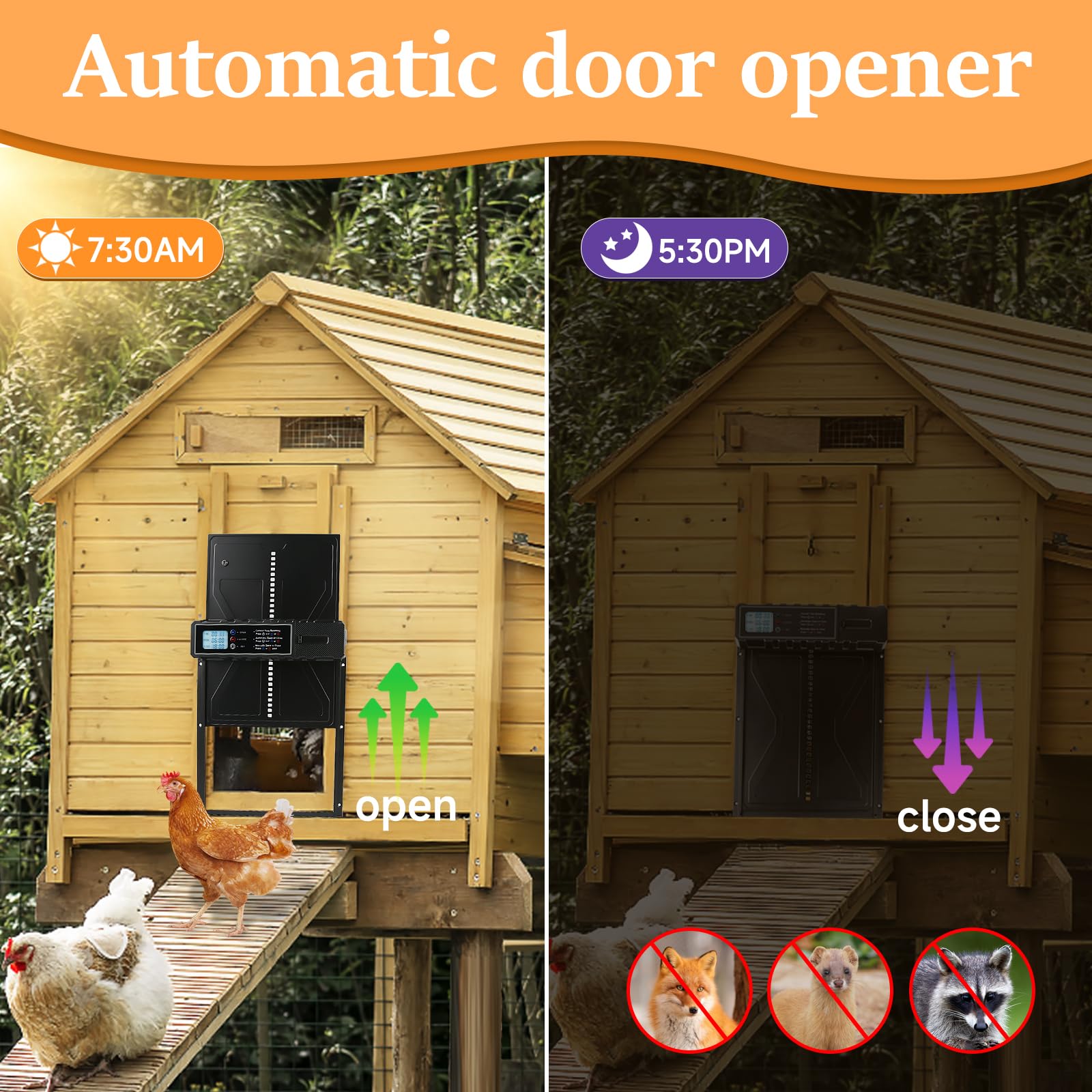 Puerta Automática para Gallinero de Aluminio con Temporizador y Pantalla, Protección Antiatrapamiento