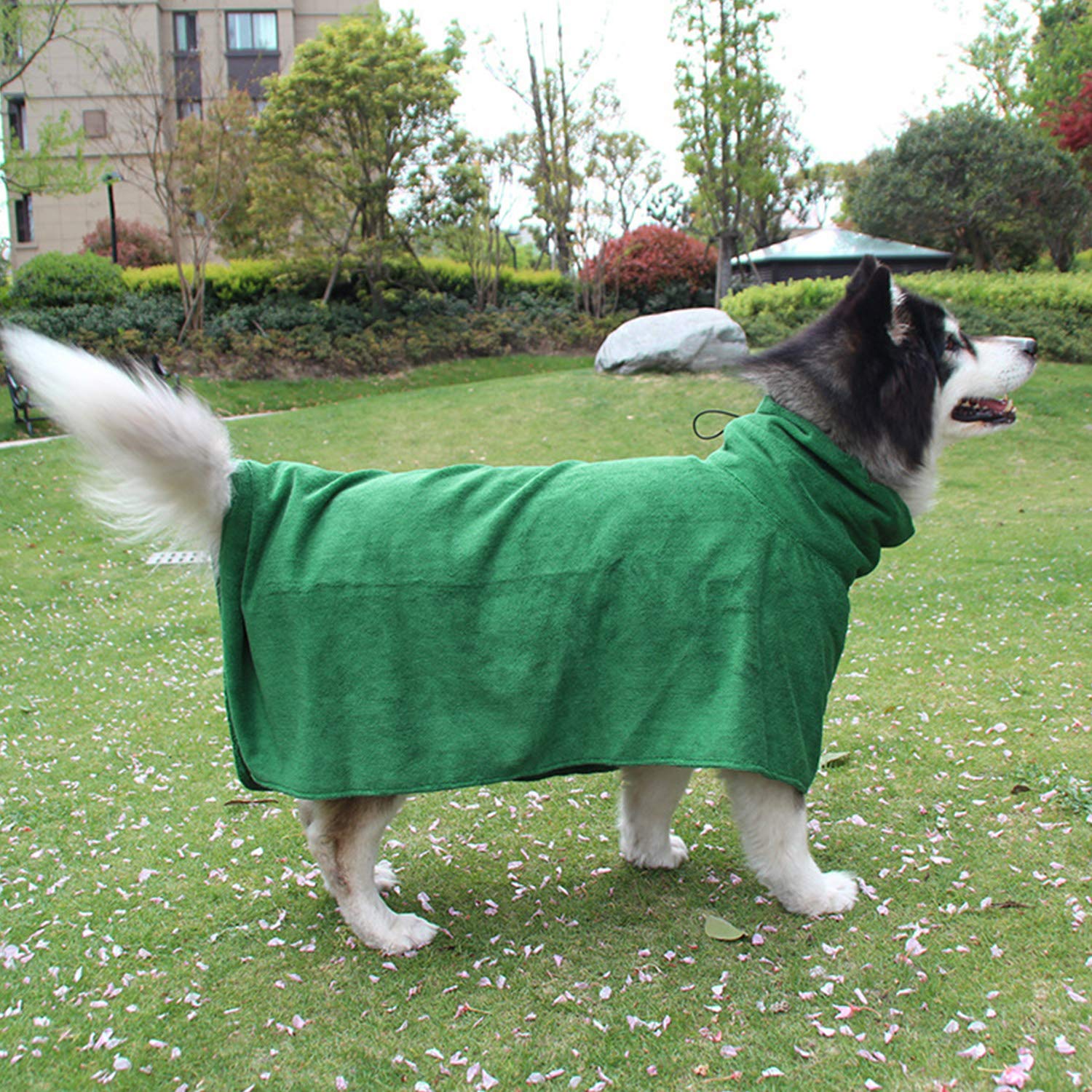 PETCUTE Peignoir Serviette de Bain pour Chien Microfibre Peignoir pour Chien Grand Petit Séchage Rapide avec bandoulière réglable