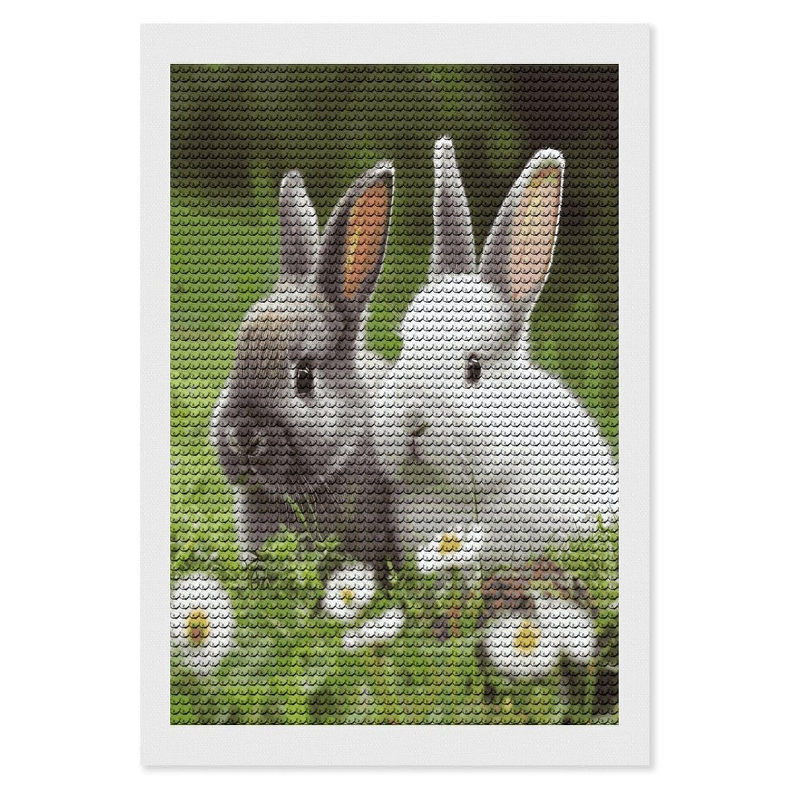 LDGSUPH Two Little Cute Rabbits Diamond Painting Kits for Adults Paint with Diamond Pictures Art DIY Full Drill Diamond Dots Painting Personalized Diamond Photo for Home Wall Decor Gift 8"x12"