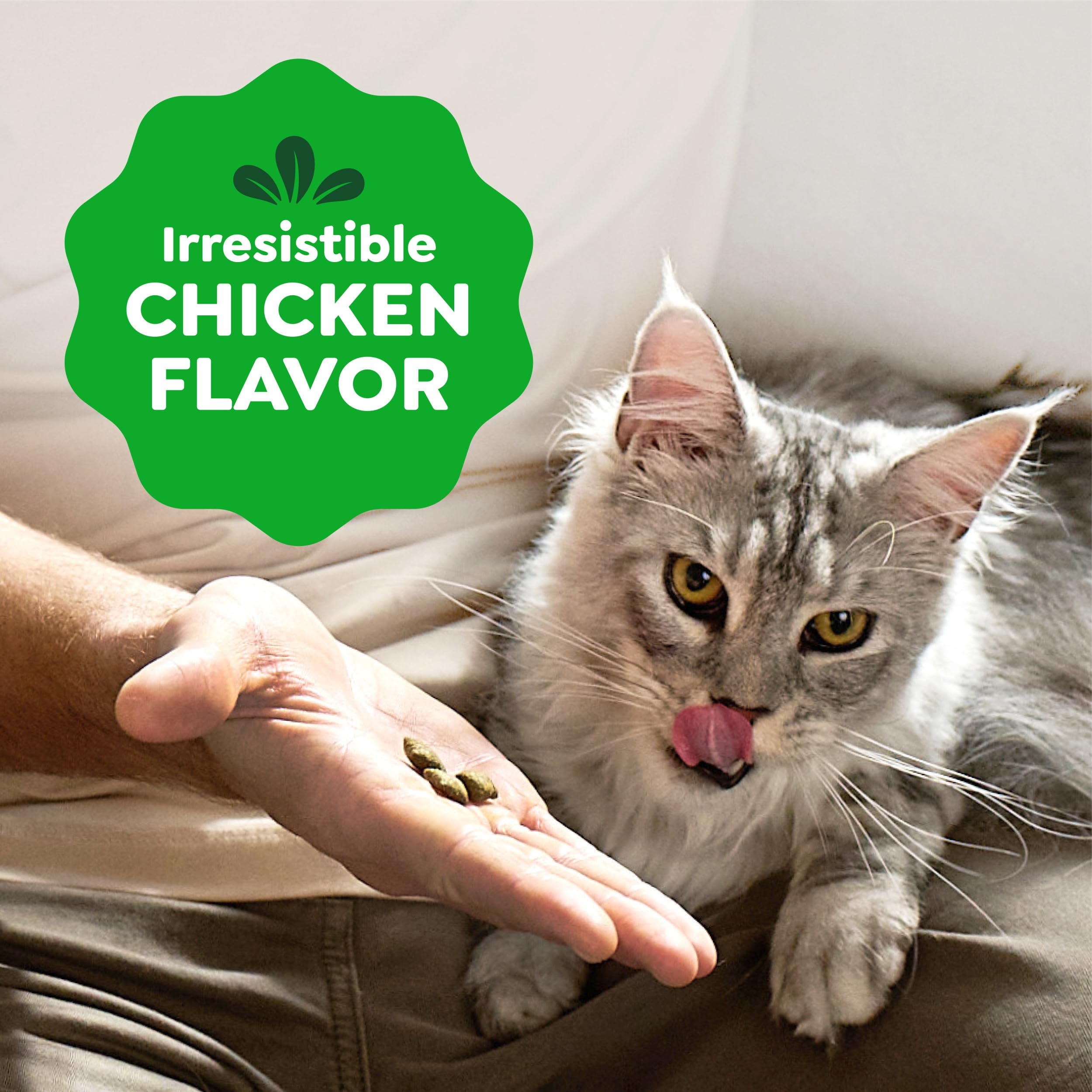 Greenies SMARTBITES Katze behandelt
