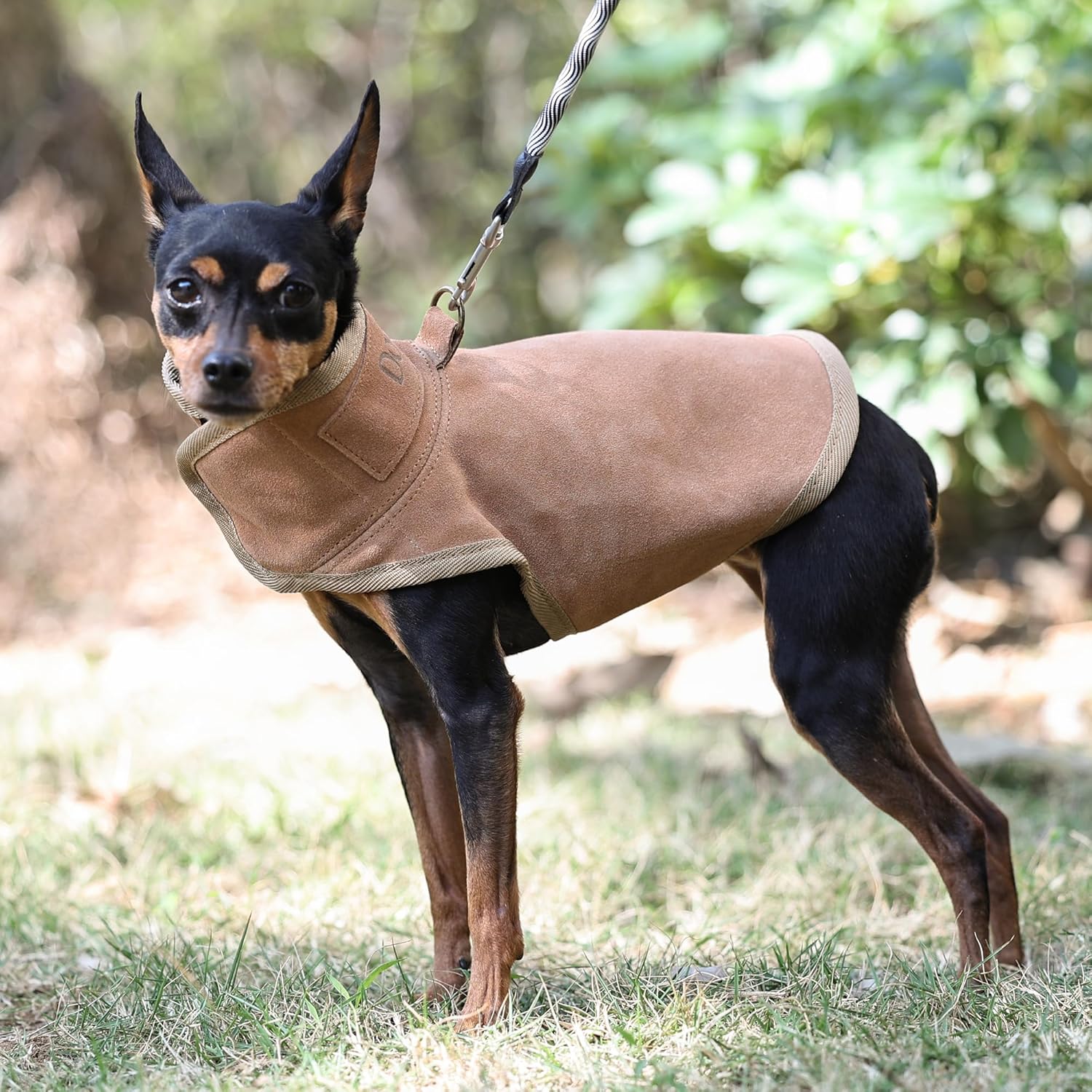 Dog Protection Vest -Tough Leather Vest, The Surface Layer of Genuine Leather is Tough and Wear-Resistant, Protection Against Attacks by Coyotes, Hawks, Raptors, and Birds of Prey (S, Brown)