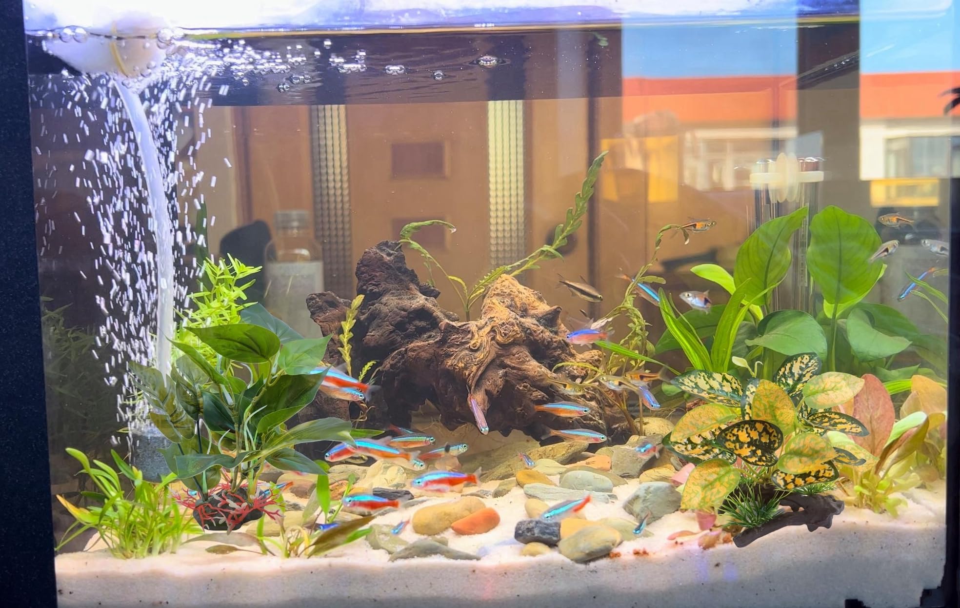 M2cbridge Artificial Fish Tank Plants Aquarium Plastic Plant Aquatic Water Grass Foreground Decor (2PCS Plastic Plants) - Image 4