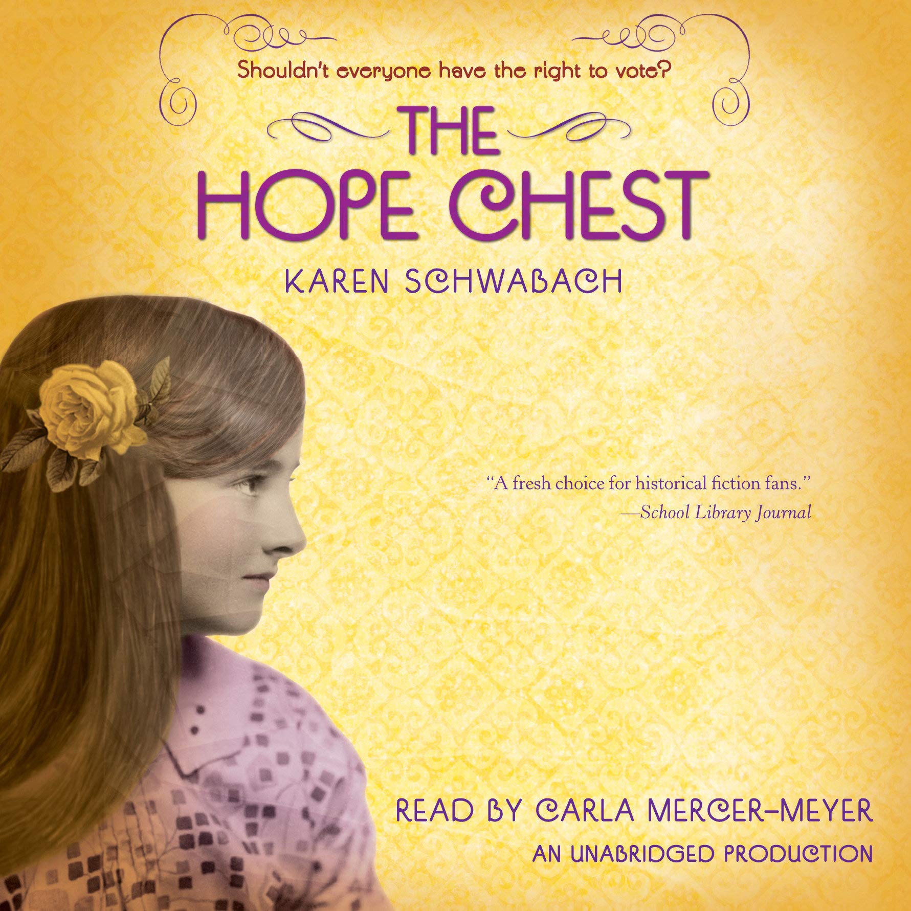 Cover art for The Hope Chest