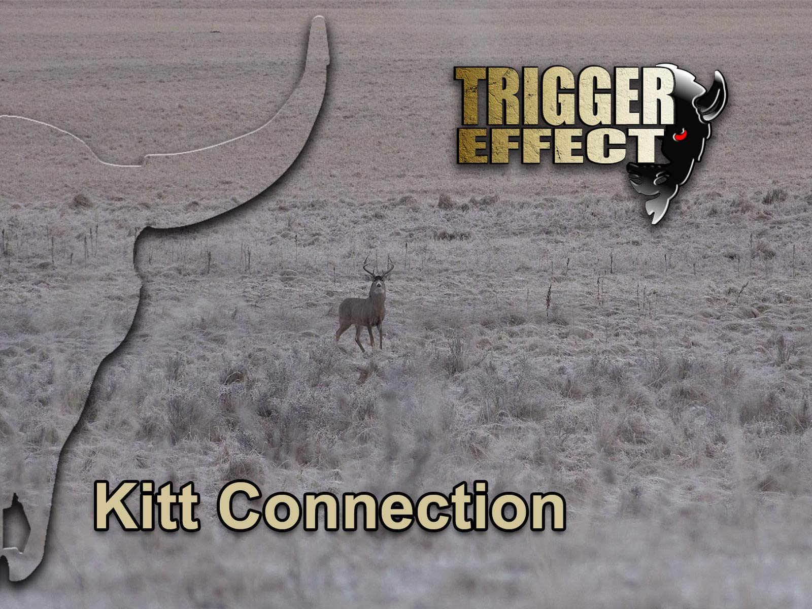 Watch Trigger Effect Prime Video