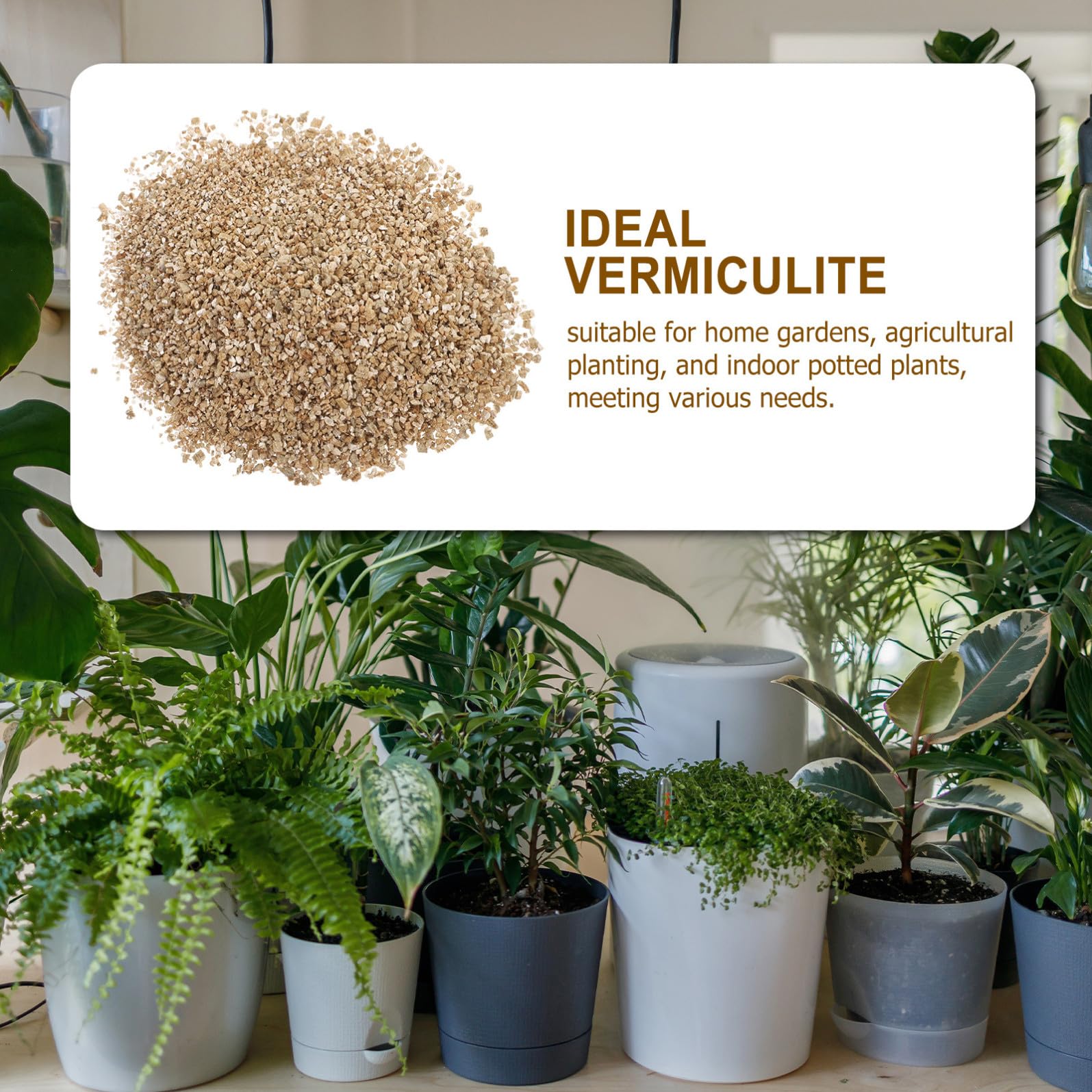FRCOLOR Vermiculite Espansa 3l PH Neutro per Germinazione e Crescita di Piante e Animali da Terrario Ritenzione Idrica per Coltivazioni Domestiche e Agricole