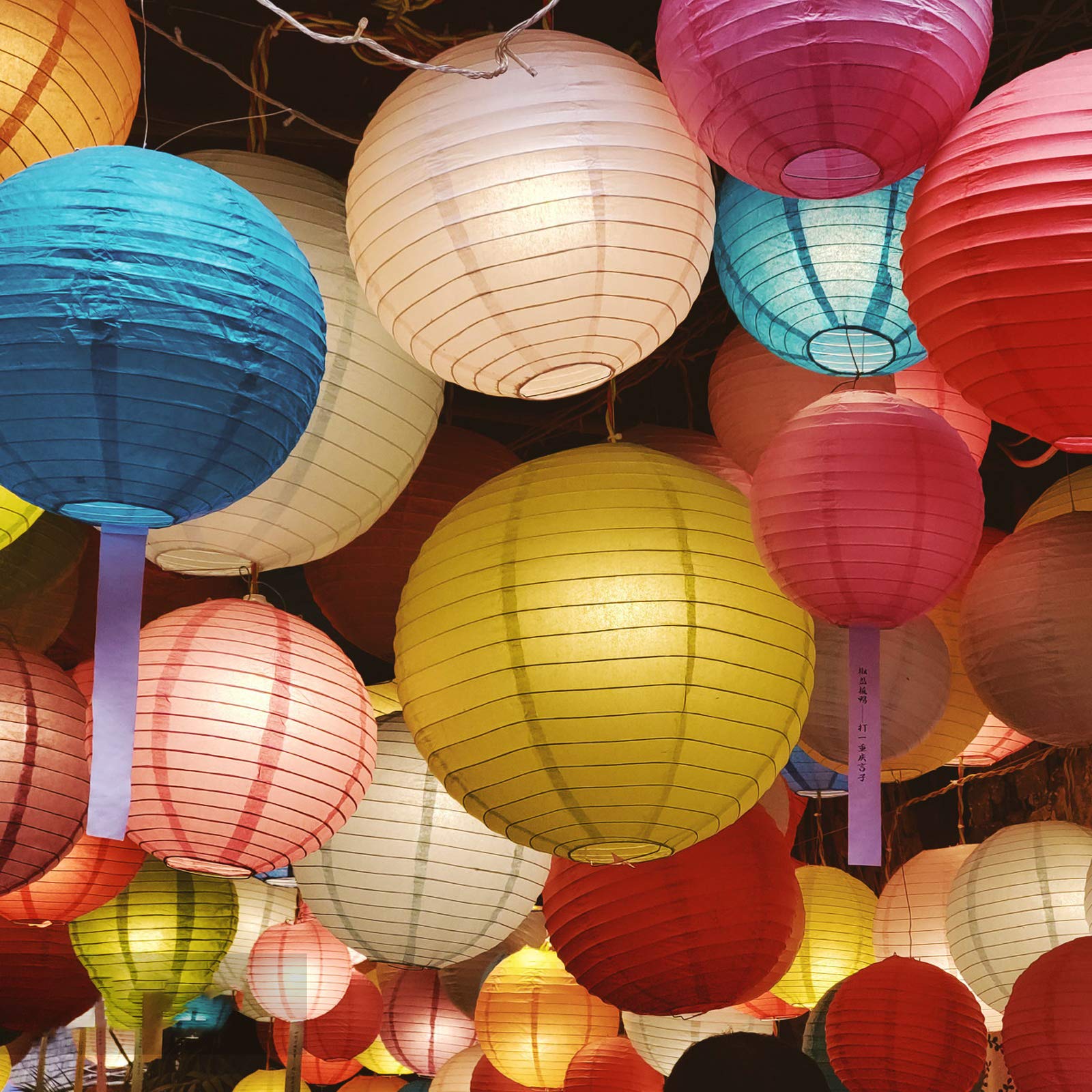 Yosawo 6 Lanterne Di Carta Decorative A Forma Di Rosa, Rotonde, Per Feste, Giardino, Matrimonio, Compleanno, Decorazione (8"10" 12"/rosa