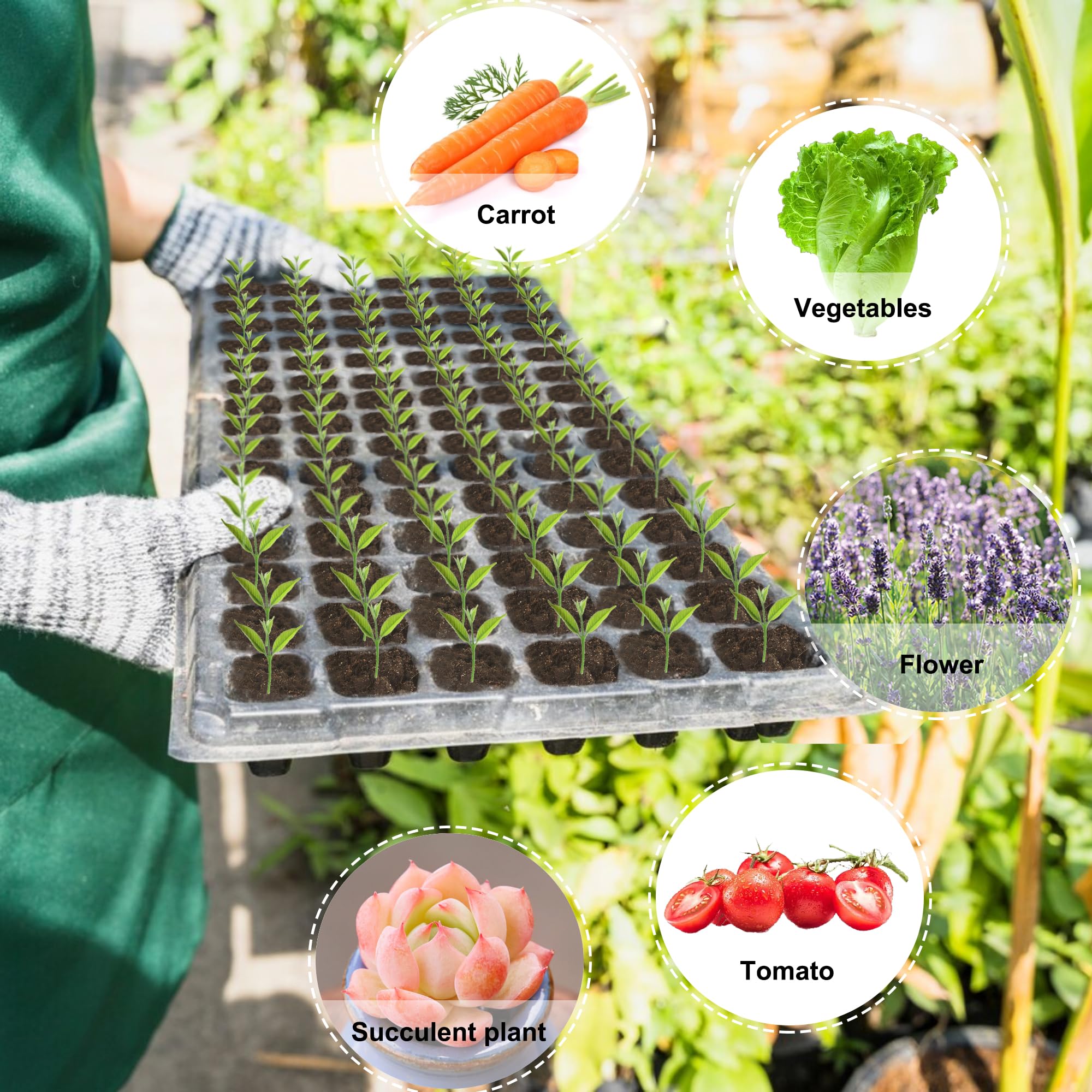 Bandejas de inicio de semillas de 200 celdas con escurridor, paquete de 20 bandejas reutilizables para propagación de germinación, excavadora de tierra de 200 agujeros para colocar