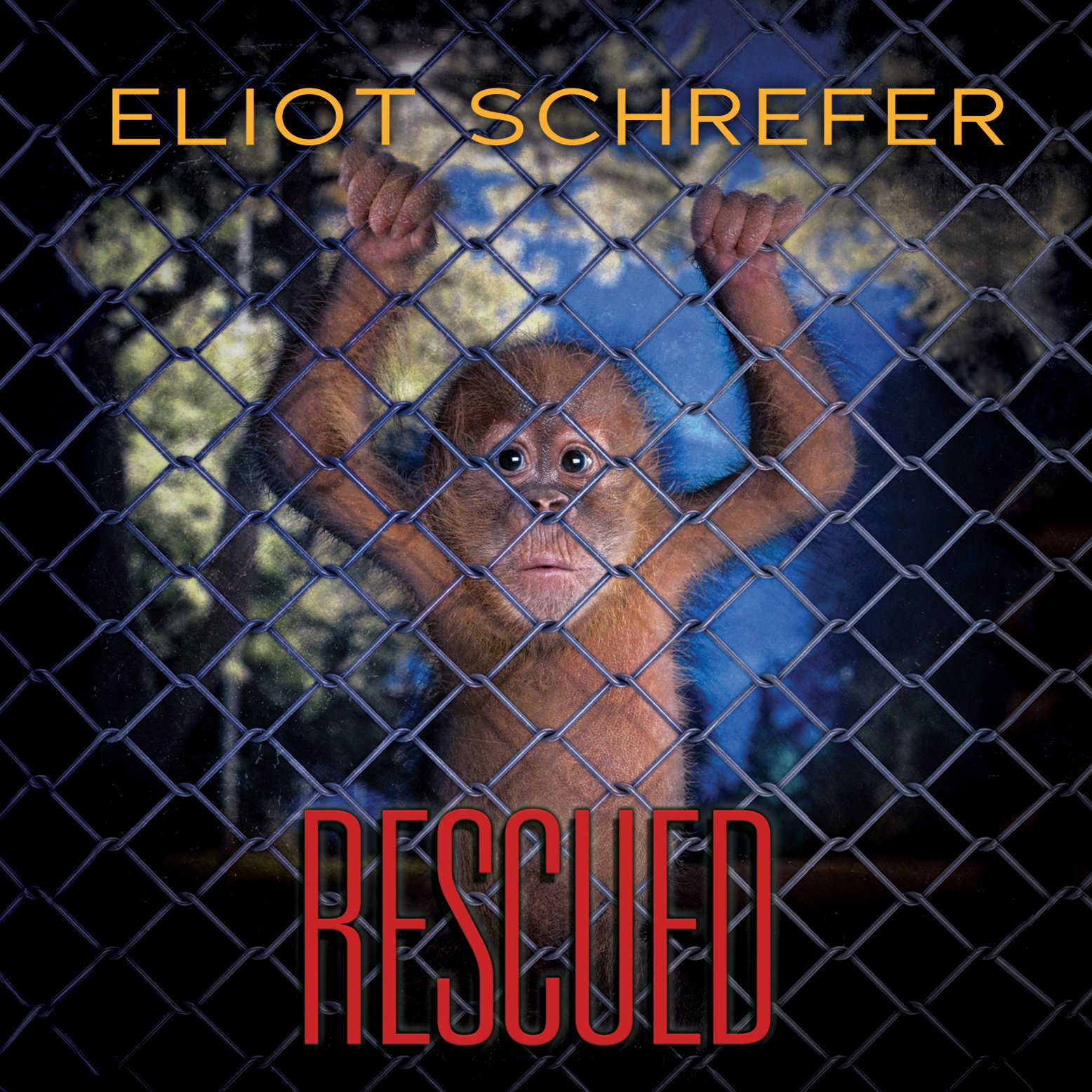 Cover art for Rescued