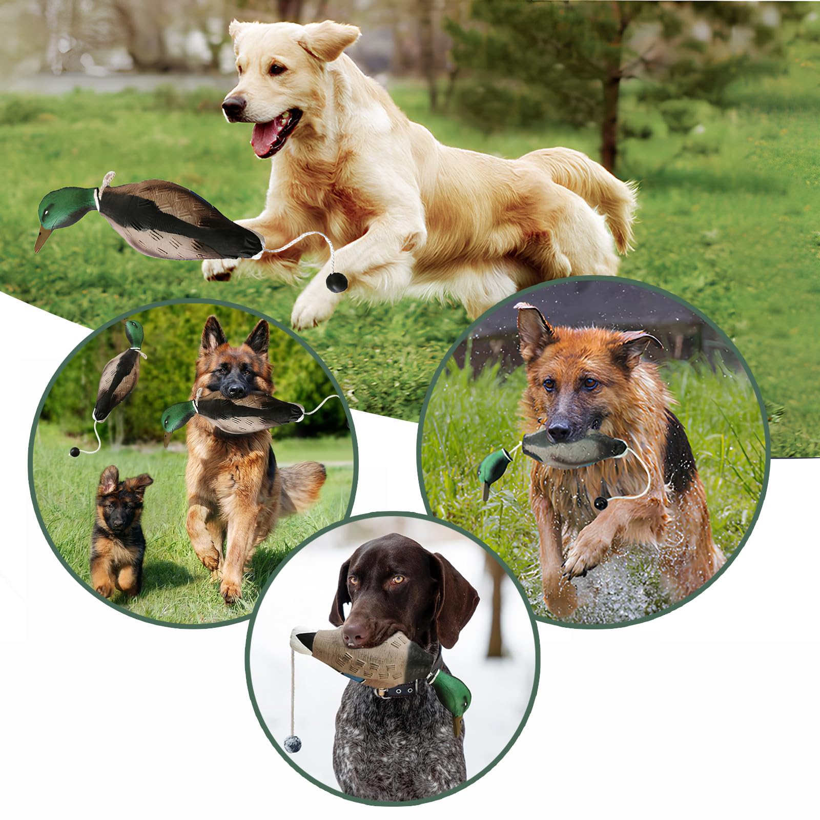 Factice Canard de Dressage de Chien, Jouets D'entraînement de Chasse pour Chiens, Accessoires pour Chiens de Chasse pour La Formation Le Chien de Chasse Retriever Compétences