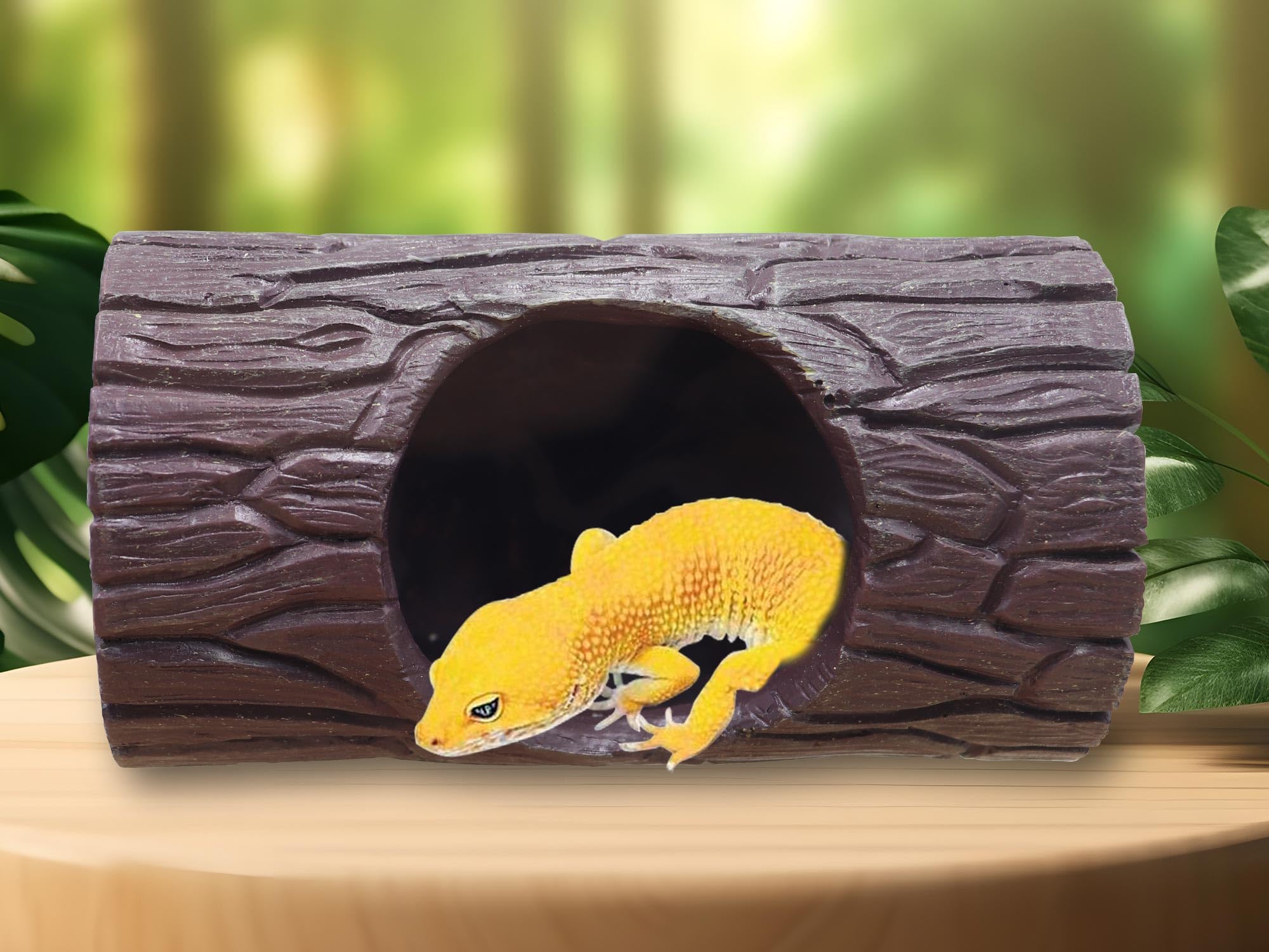 Swirge Einsiedlerkrebs Höhle - 3-in-1 Versteck Für Terrarium Tiere