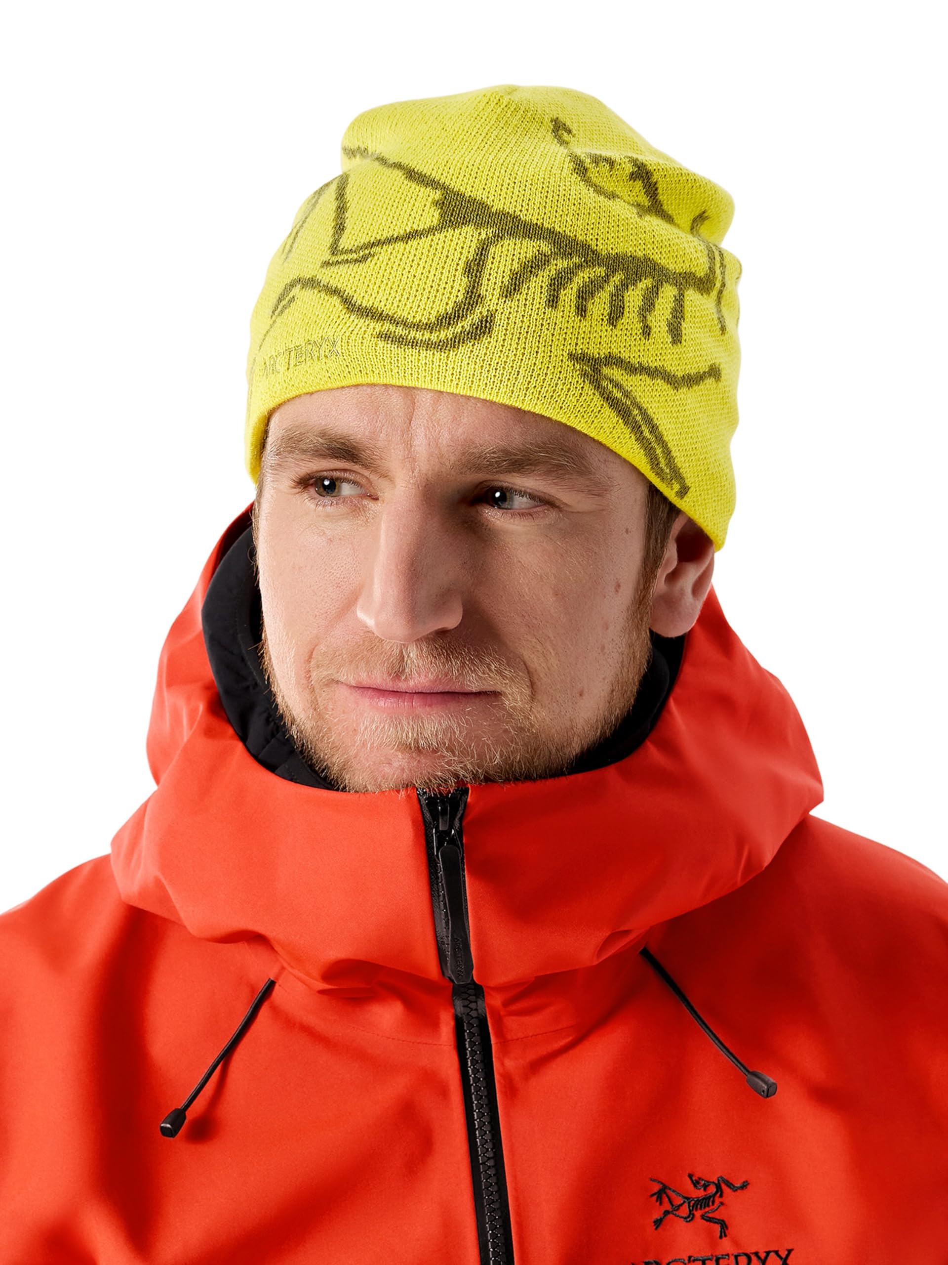 Arc'teryx Bird Head Toque Unisex | Our Classic Winter Toque