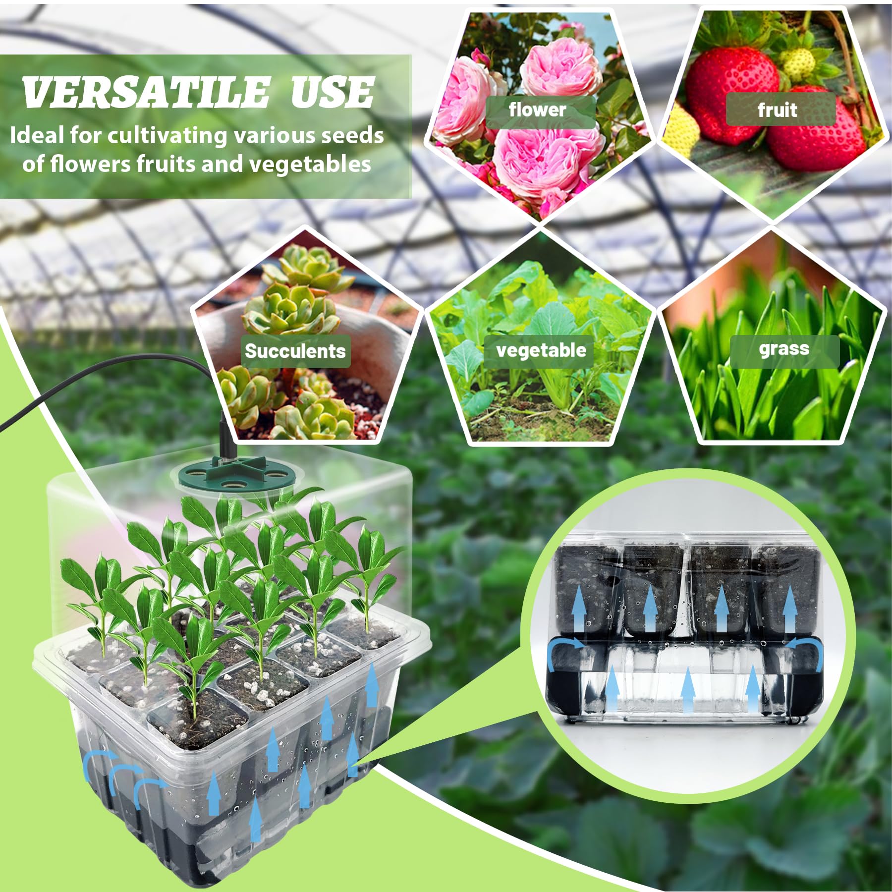 VEEKAY 6 Pièces Auto-arrosant Mini Serre pour Plantes kit,Kit de Culture Serre avec LED luminosité réglable,avec Coussin Absorbant,Température et humidité réglables,avec kit D'outils De Plantation