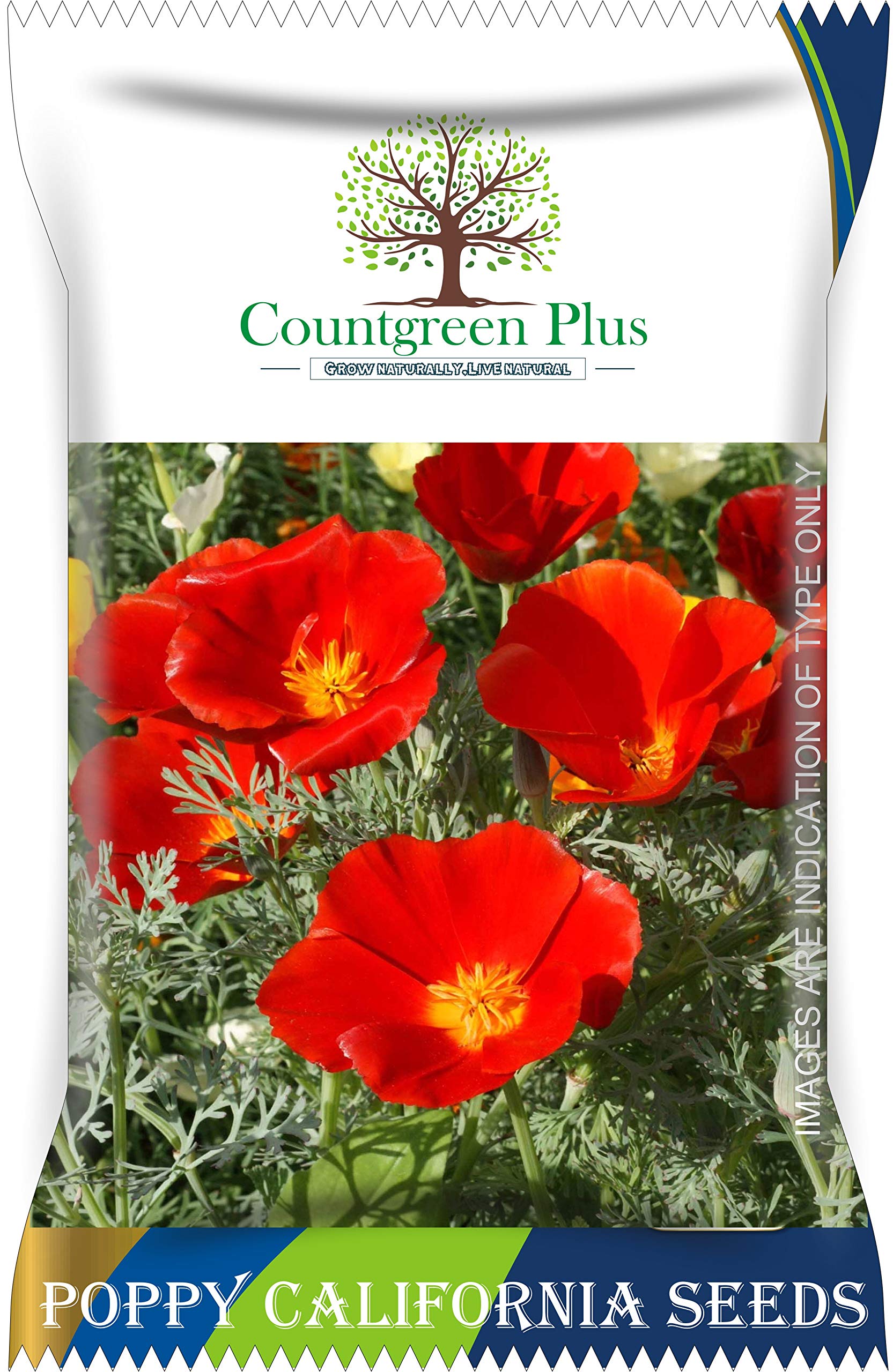 Countgreen Plus Poppy California | Eschscholzia californica Organic Native Garden Wild Flower Seed (200 Seeds) (B08ZXDWZFB) Amazon Price History, Amazon Price Tracker