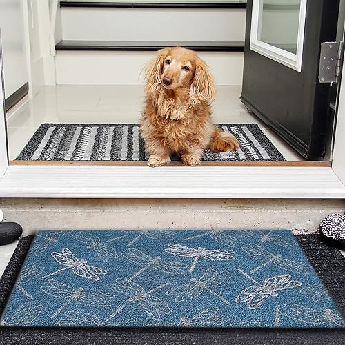 Miniatura 3 de NACH FW-977 - Felpudo con purpurina de libélula, tapete para puerta de entrada exterior, tapete de bienvenida para entrada al aire libre, tapete