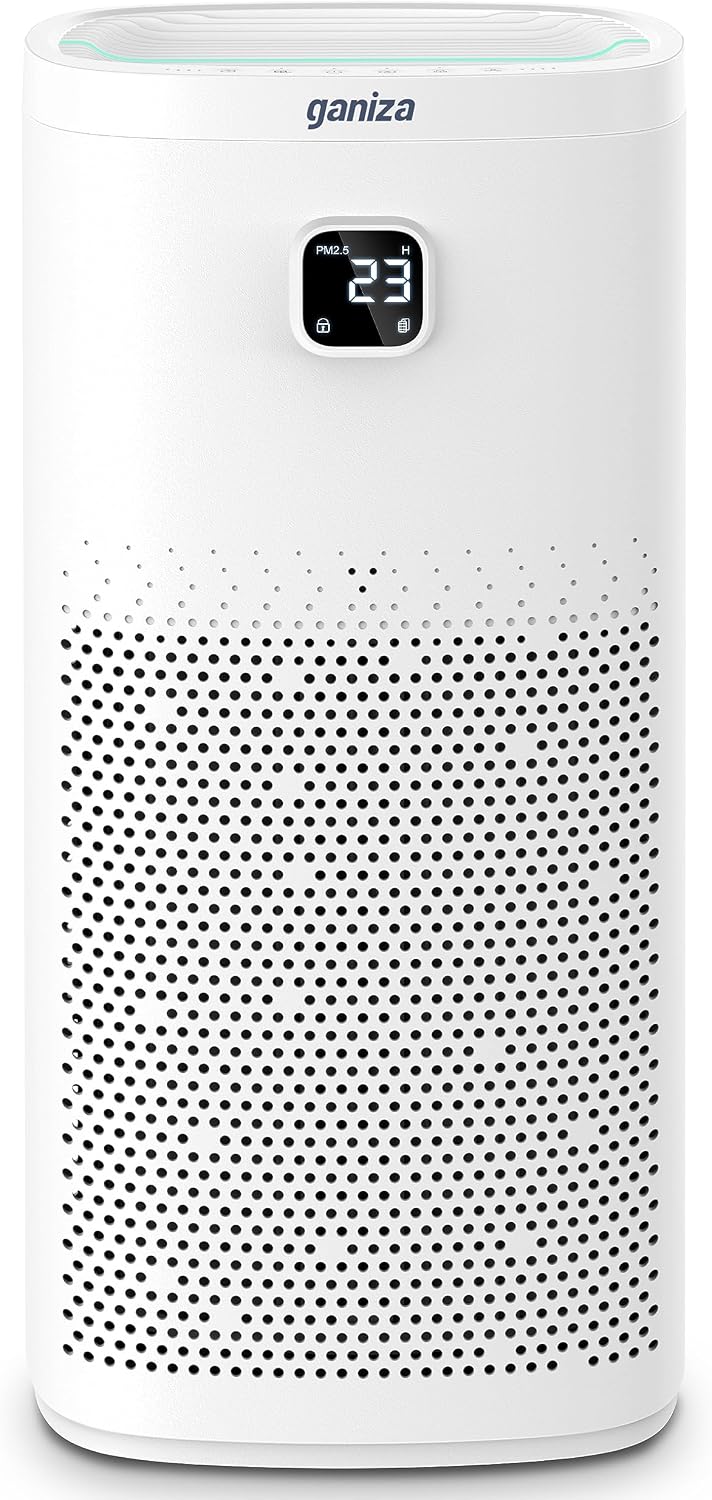 Air Purifiers For Home Large Room