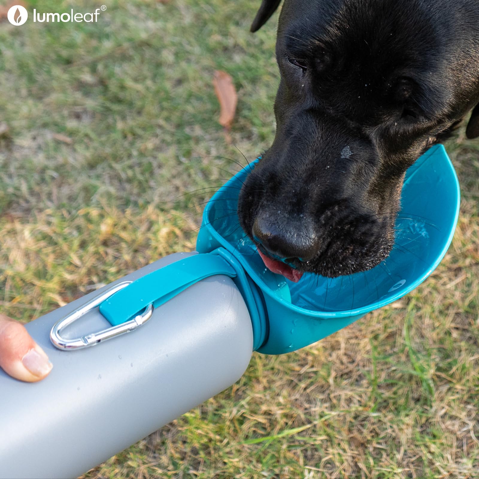 LumoLeaf Borraccia termica per cani, in acciaio inox, 765,4 g, mantiene l'acqua fresca o calda, ciotola portatile per animali domestici, per viaggi, bocca larga per un facile riempimento e pulizia del