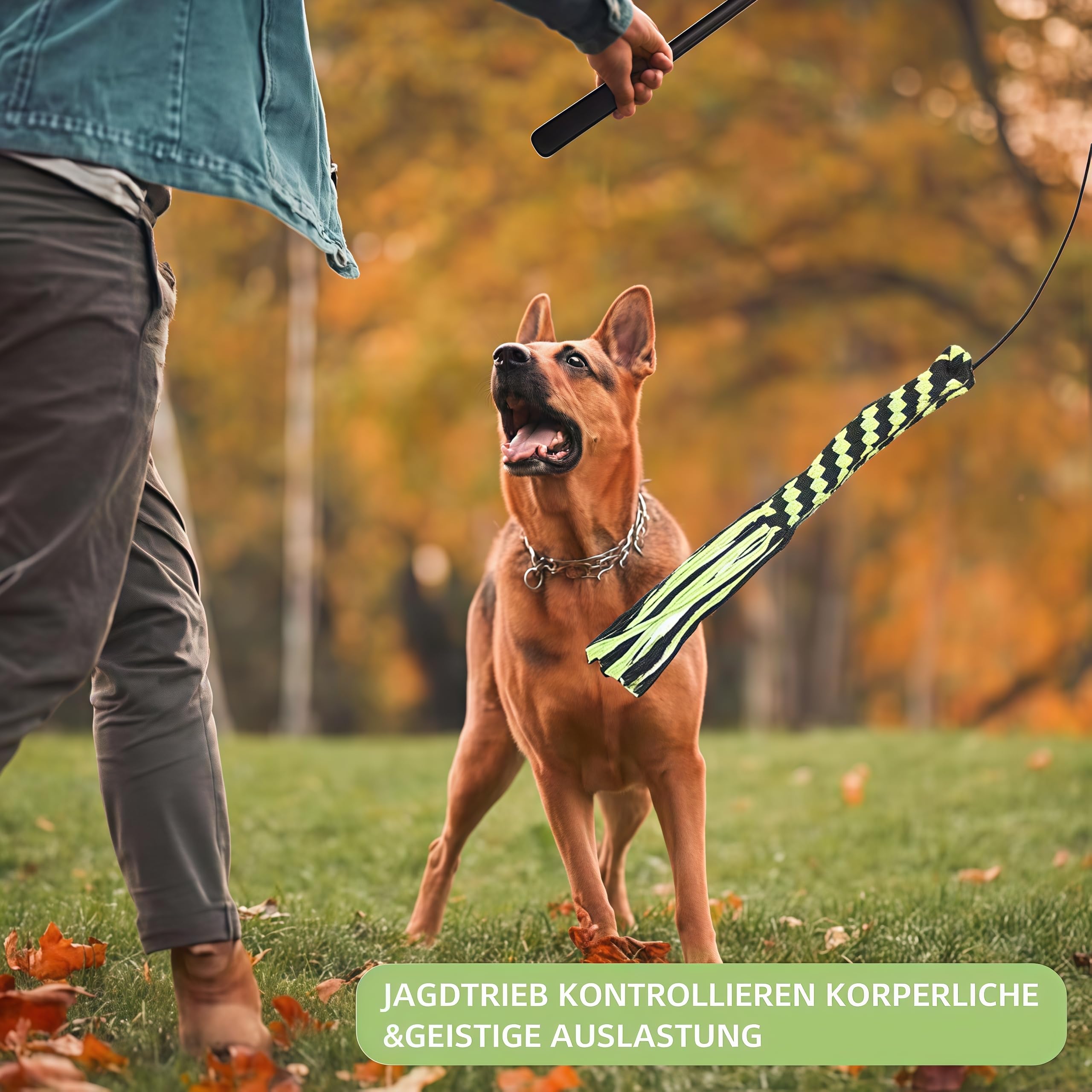 Irritante para Perros,para Entrenar y exponer Perro Teaser Varita, Perro Extensible Teaser,Entrenamiento de Mascotas Juguetes interactivos,Perro Flirt Pole,Entrenamiento de Mascotas Juguetes
