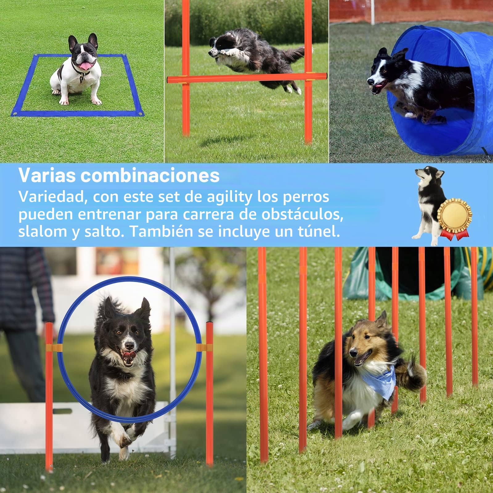 Agility Set para perros Agility Equipment Set para perros, obstáculos con túnel para perros, barras de slalom, altura ajustable, bolsa de transporte para entrenamiento de perros y deportes de