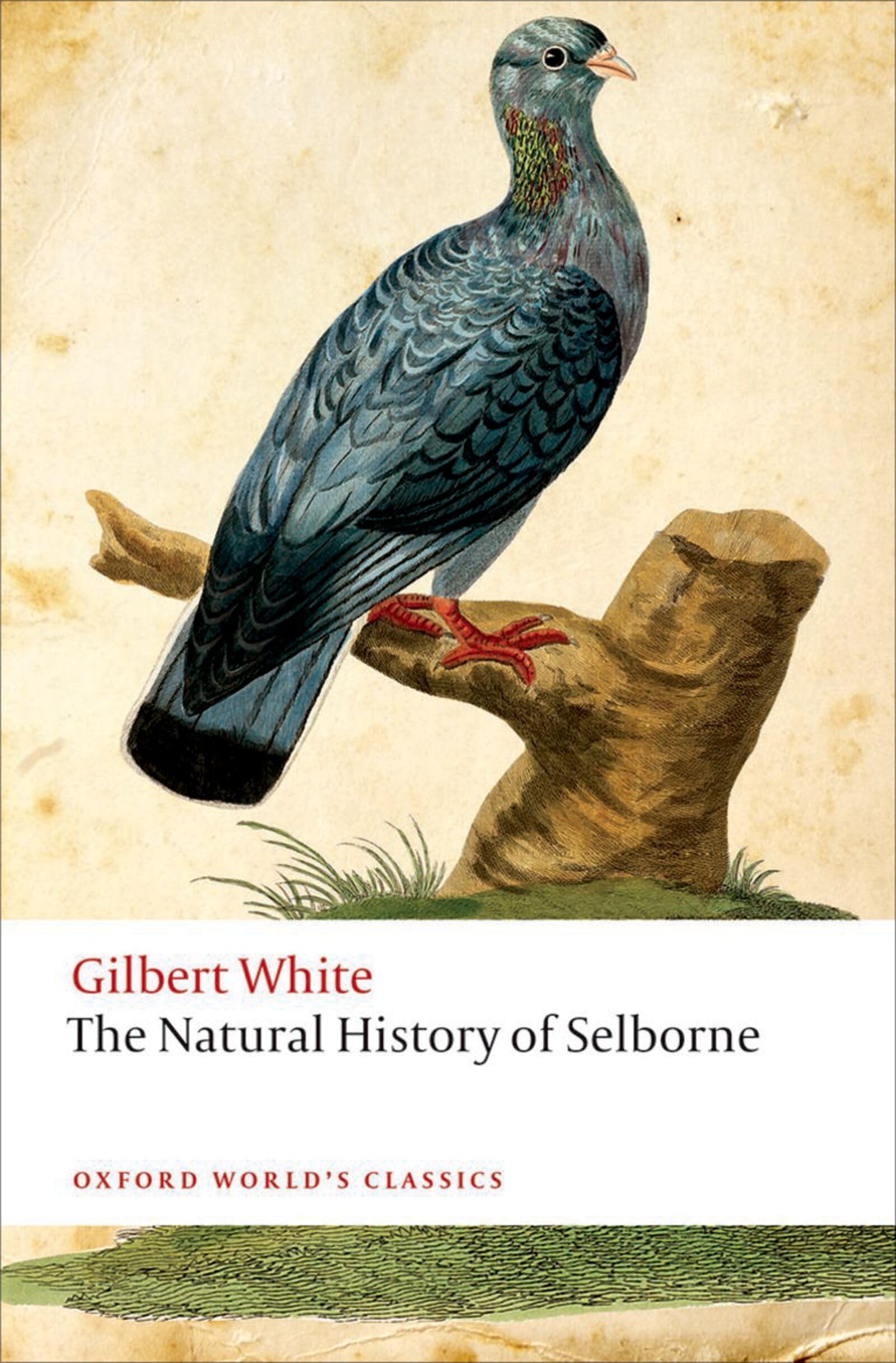 The Natural History of Selborne - White, Gilbert
